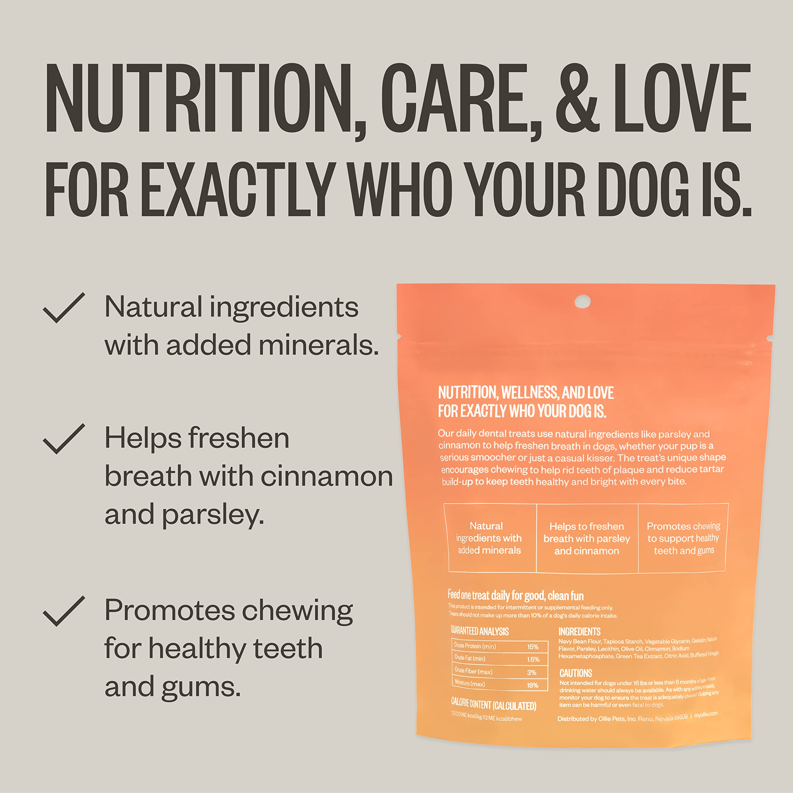 Ollie Dental Chews for Medium Dogs, 12 Oz, Fresh Breath, Teeth Cleaning Treats, Sticks for Dog Oral Care, with Parsley and Cinni