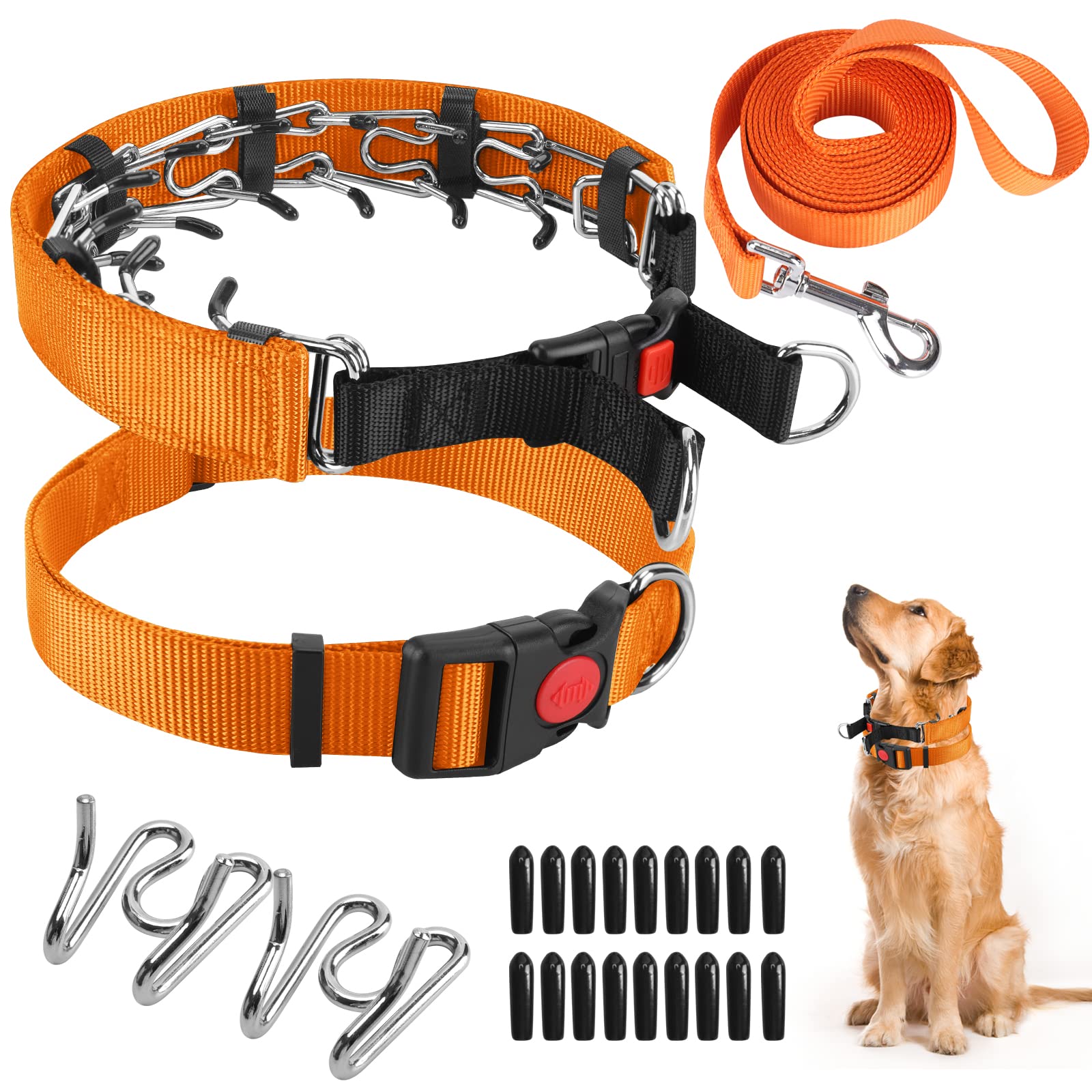 Prong Training Collar With Nylon Cover Comfort Tips, Quick Release Snap Buckle, Classic Collar and Leash