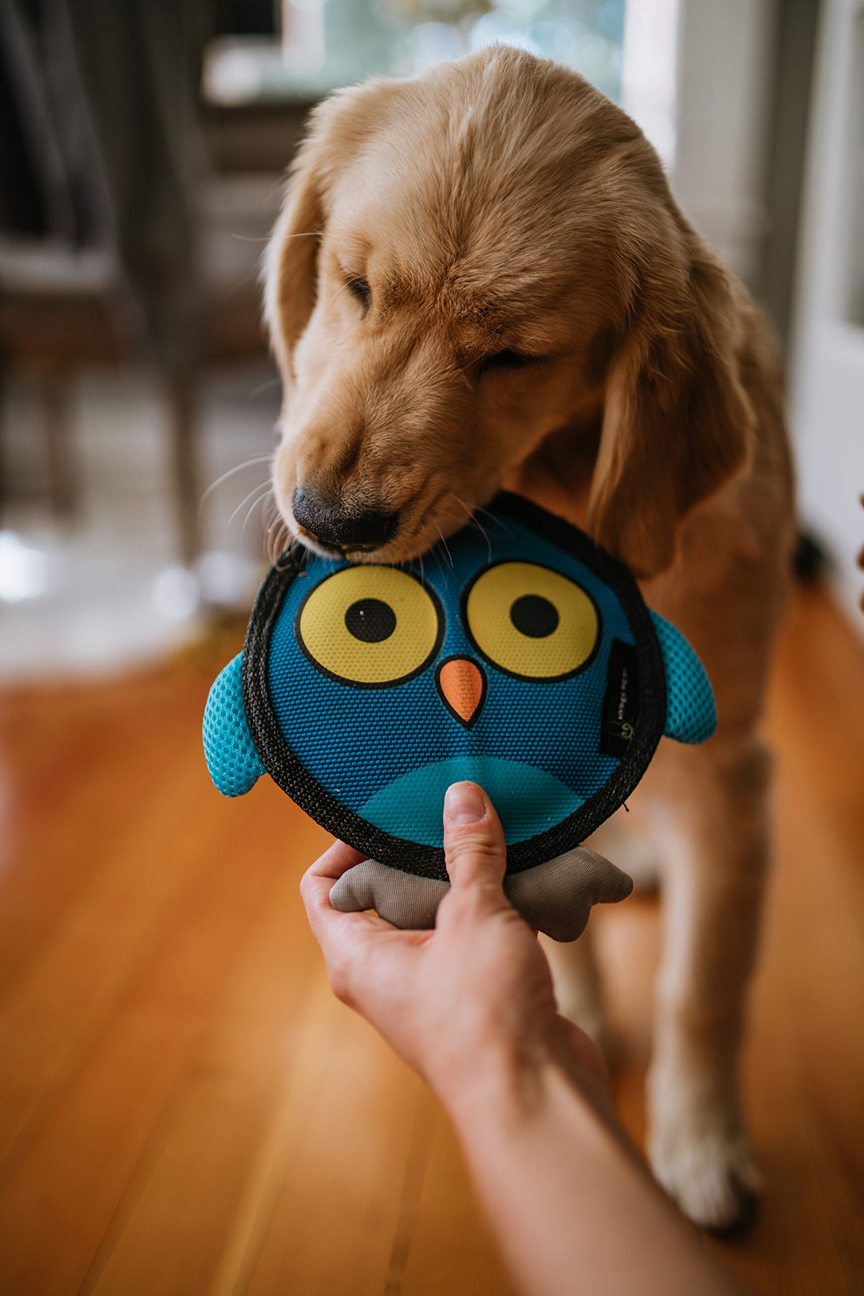 Hyper Pet Firehose Flyers Owl Durable Squeaky Dog Toy Grey 7.5 X 1.2 X 8.2 Inches