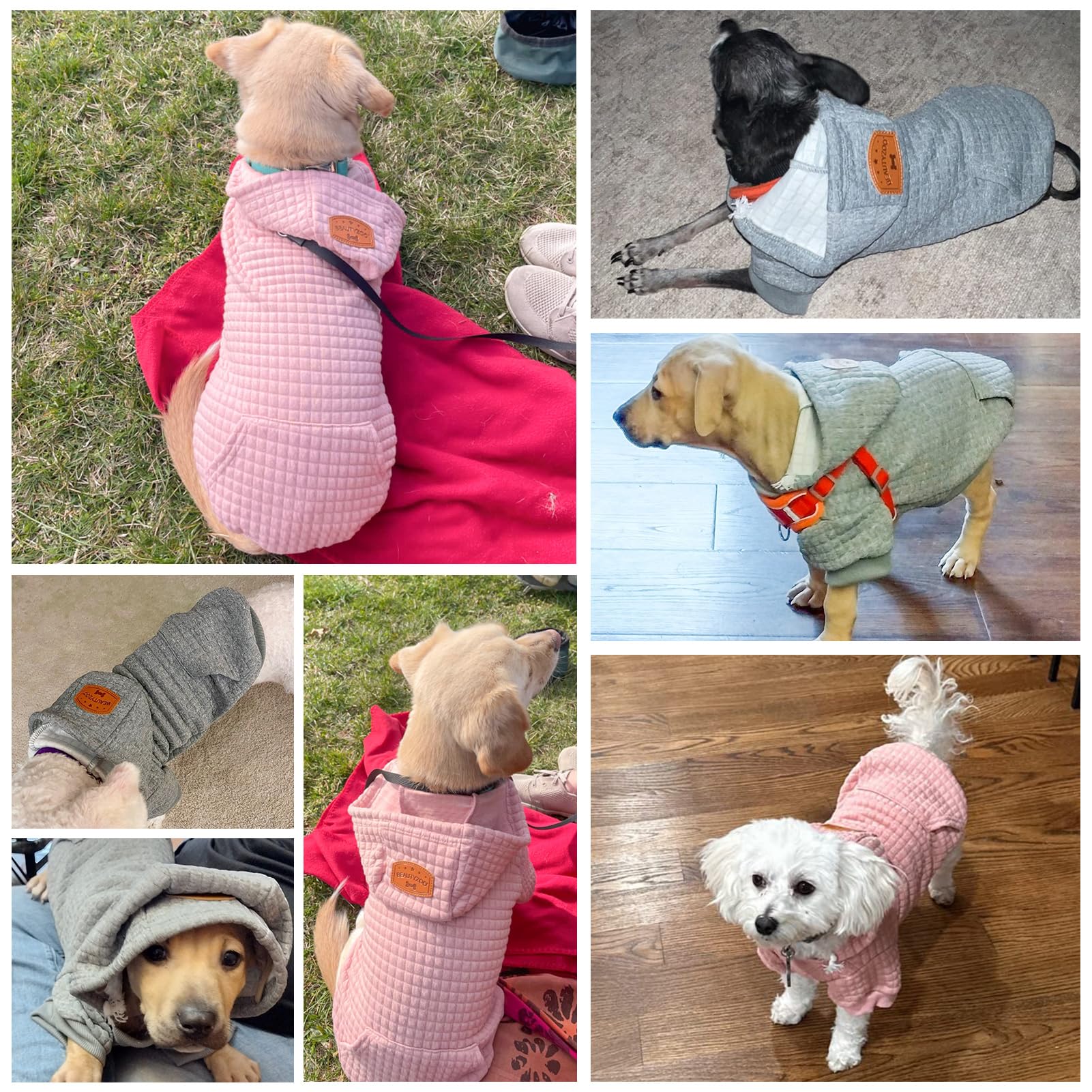 Beautyzoo Small Dog Hoodie Sweater With Pockets, Dog Clothes For Small Medium Dogs Boy Girl, Waffle-Like Laminated Cotton Pet Co