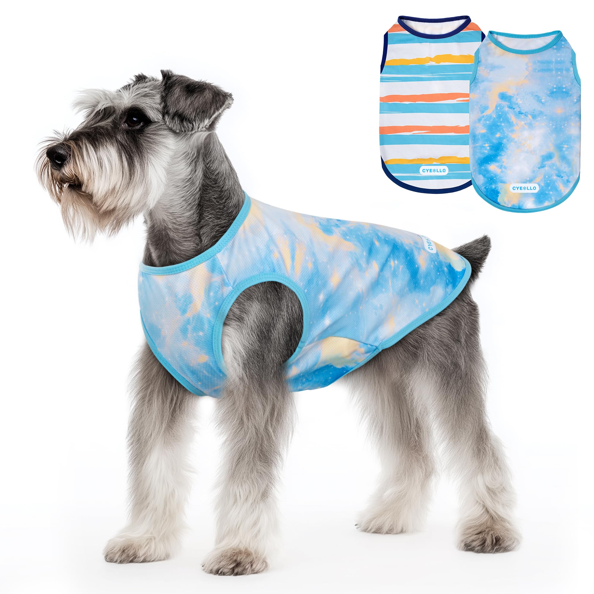 Cyeollo 2Pack Dog Cooling Shirt, Breathable Sleeveless Summer Clothes For Dogs, Intant Cool Dog T Shirts For Small Dogs, Blue Sk
