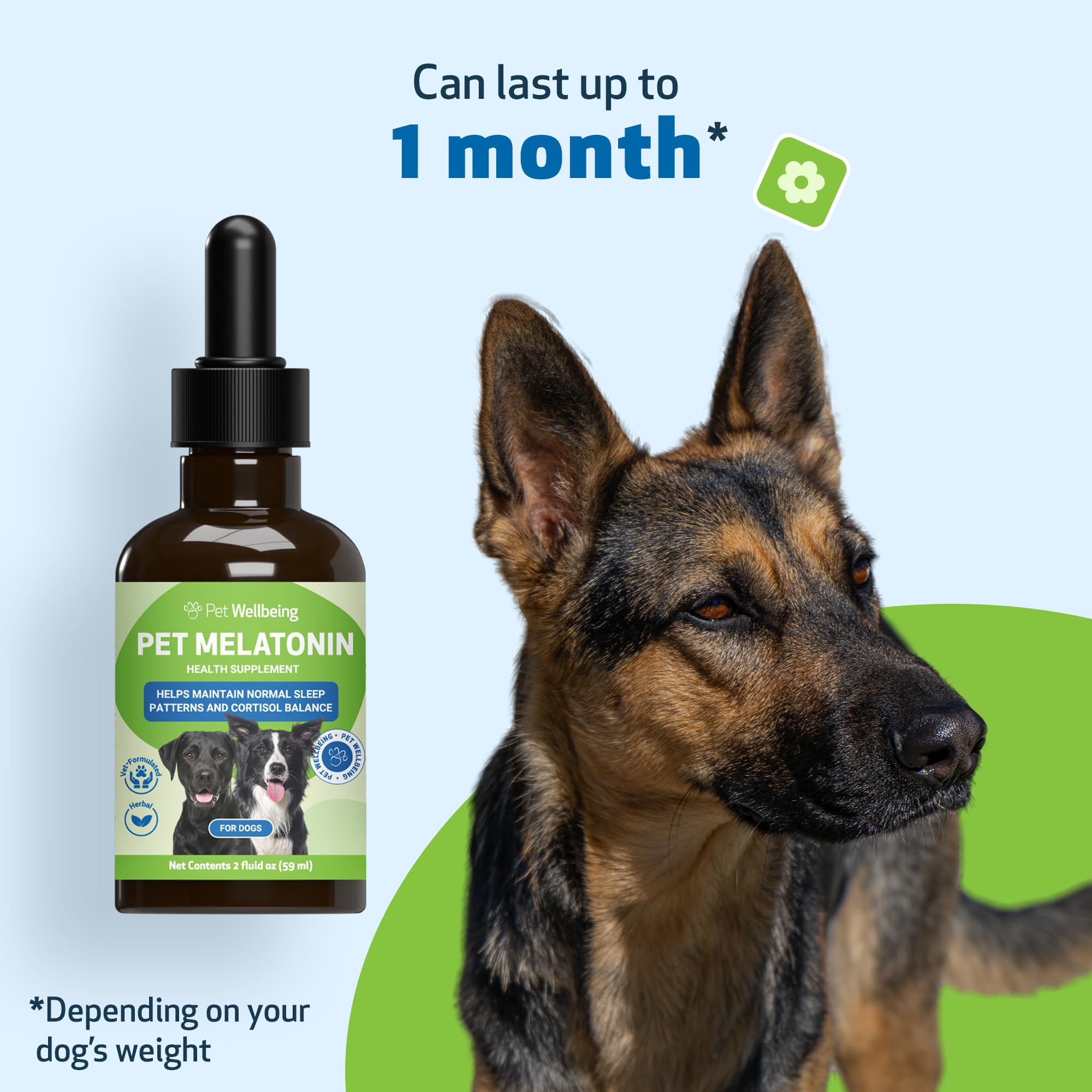 Pet Wellbeing Pet Melatonin for Dogs - Supports Adrenal Health, Cortisol Balance, Helps Maintain Normal Sleep Patterns - Veterin