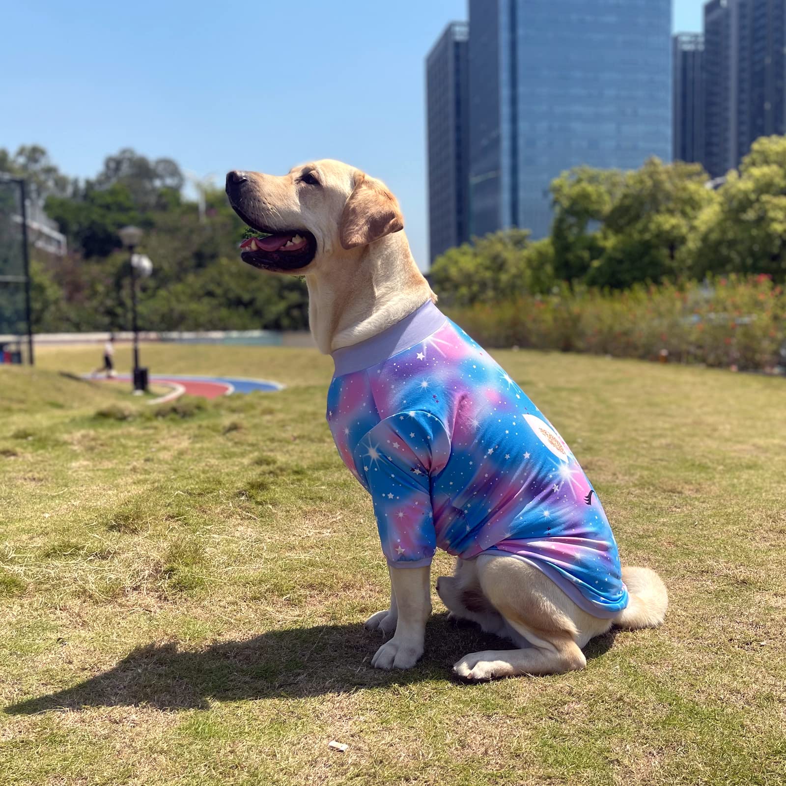 PriPre Dog Blue Purple Tiedye T Shirts Shining Unicorn Pattern Printed Pet Shirt Softable Pajamas for Large Dogs (XXL, Blue)