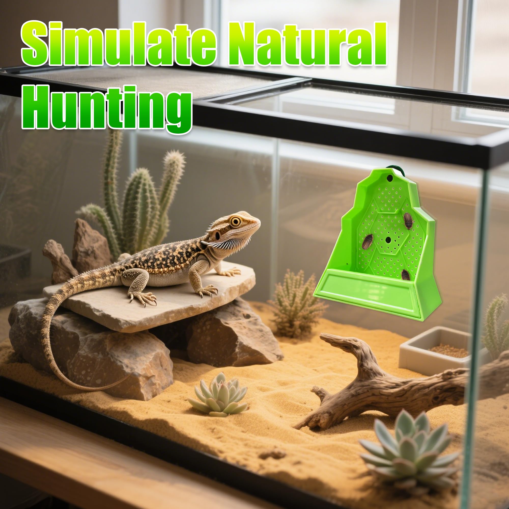 Eckpo Reptile Anti-Escape Feeding Bowl, Wall-Mounted Feeder for Reptile, Stimulate Hunting Accessories for Terrarium, Vivarium a