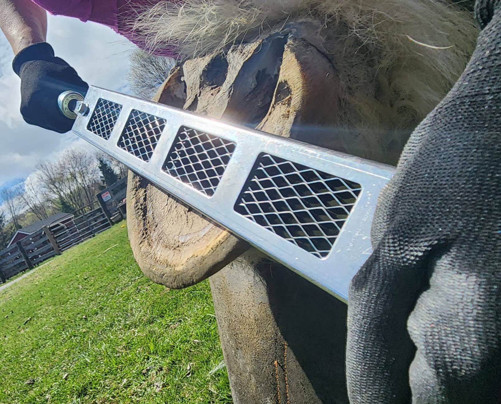 Cody James Dymondback Rasp - Best File For Trimming A Horse Hoof - Choose Fine, Medium Or Aggressive (Aggressive)