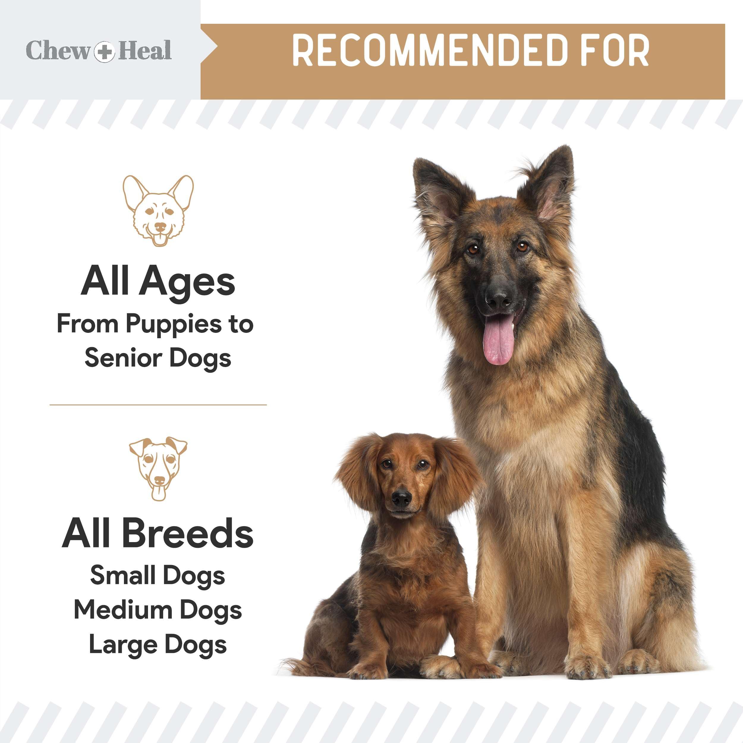 Dog Glucosamine Chews, 90 Count - Hip and Joint Supplement for Dogs - MSM, Chondroitin for Joint and Cartilage Health - Puppies