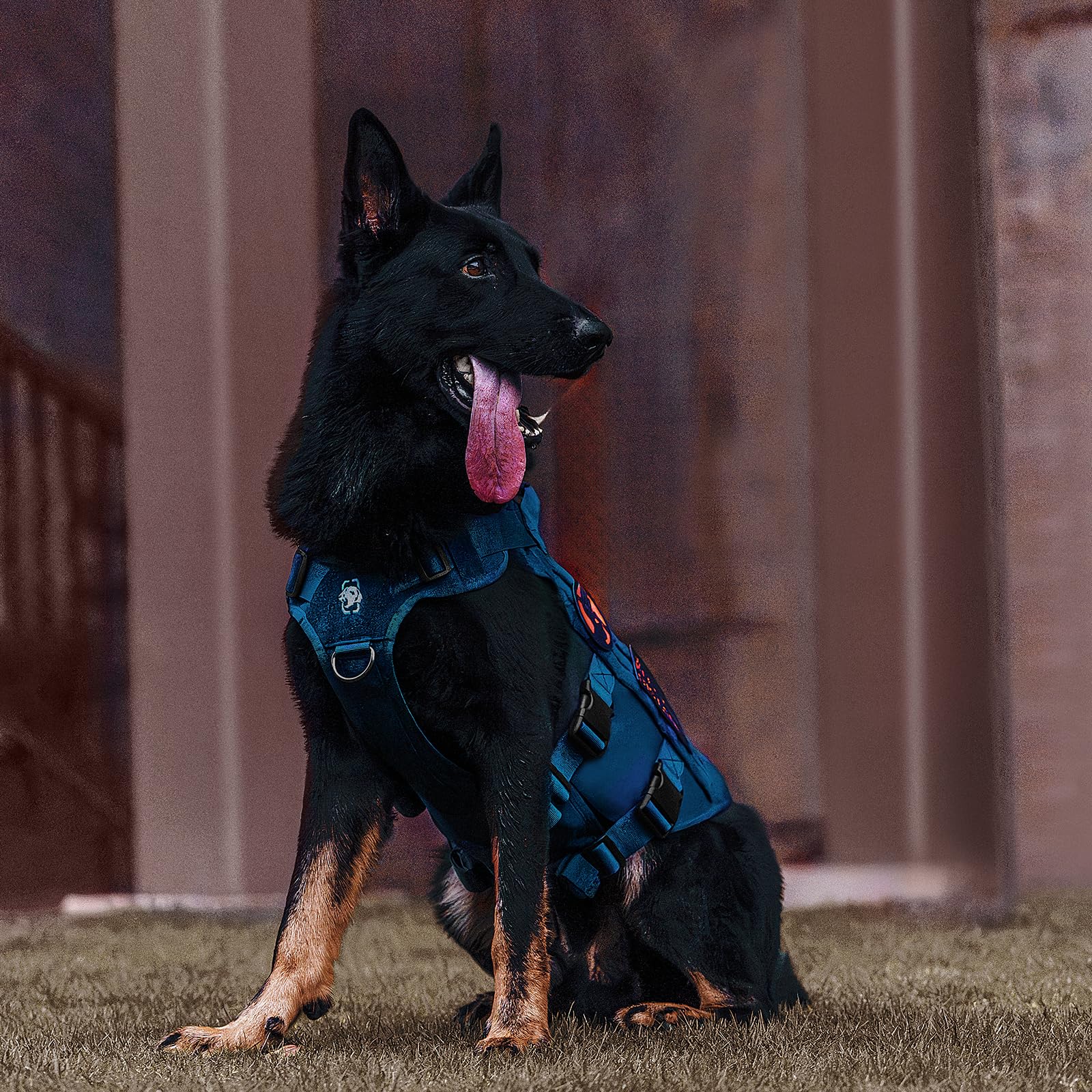 Onetigris Tactical Dog Harness For Small Medium Large Dog, Mesh Design Service Dog Vest Breathable Military Dog Molle Vests With