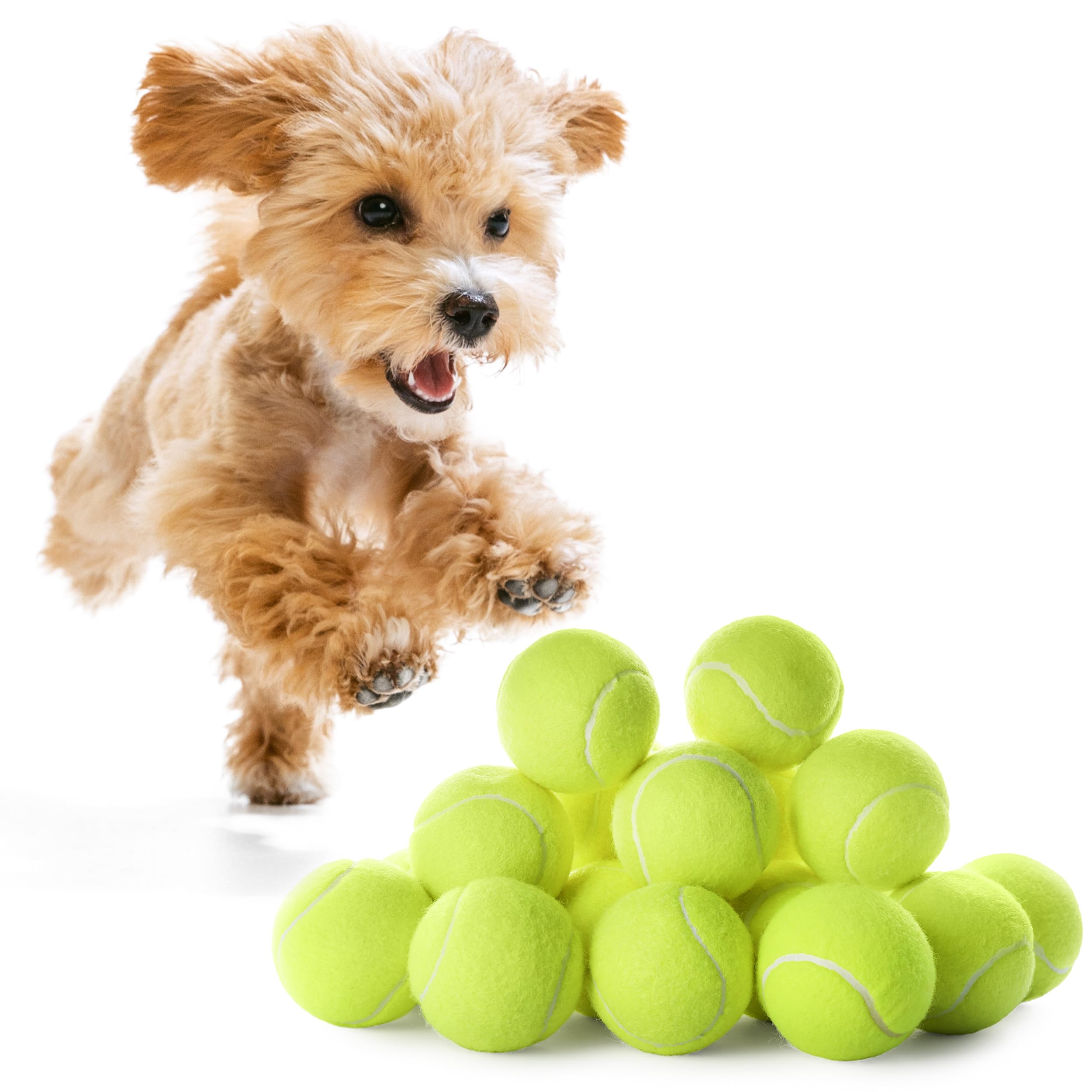 Wrtz 12 Small Tennis Balls For Dogs | 2 Inch Dog Fetch Toys For Your Smaller Pups | Non-Abrasive For Smaller Mouths | Interactiv