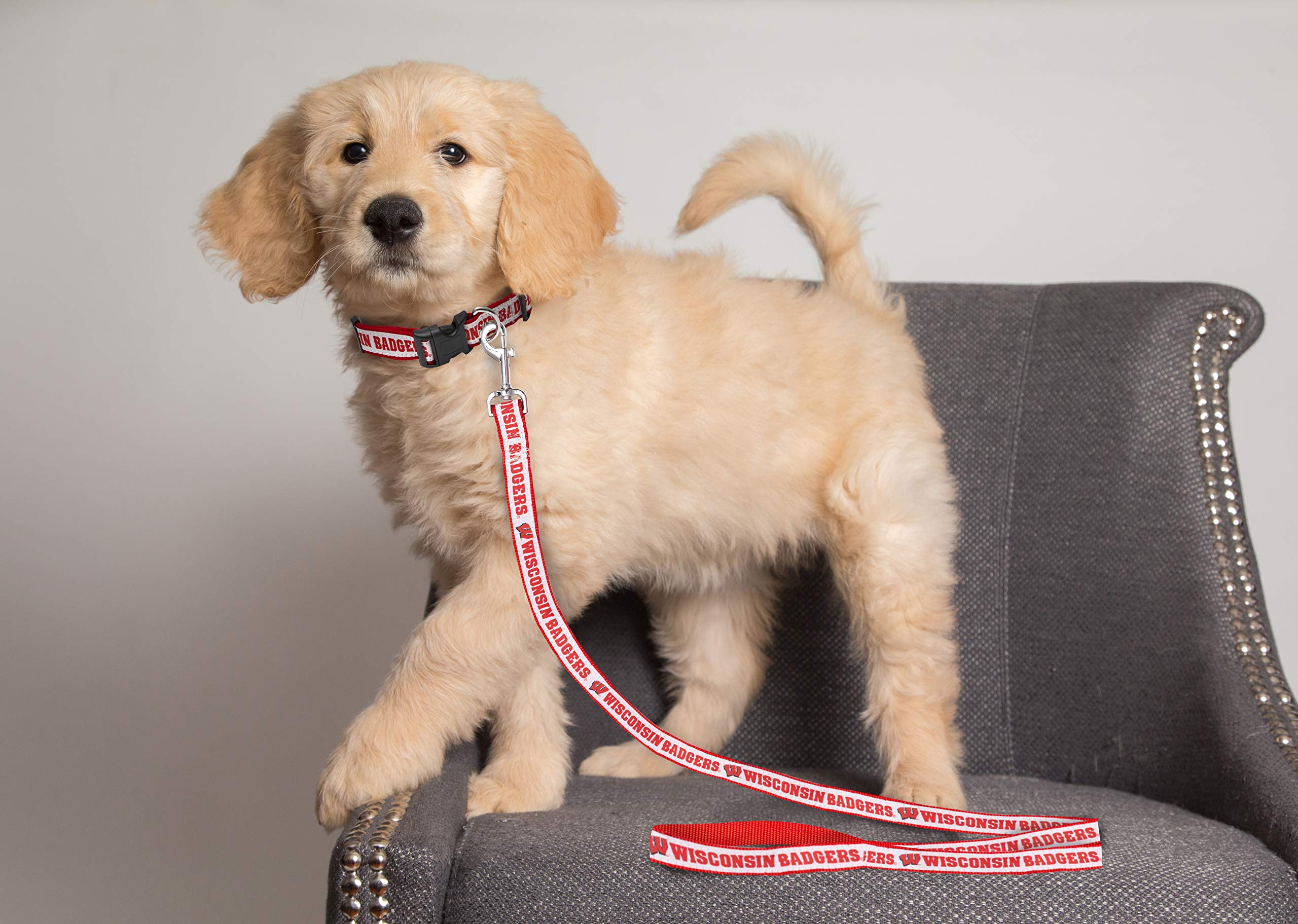 Ncaa Pet Leash, Medium, Wisconsin Badgers, Shiny & Colorful Leash For Dogs & Cats Licensed By The Ncaa