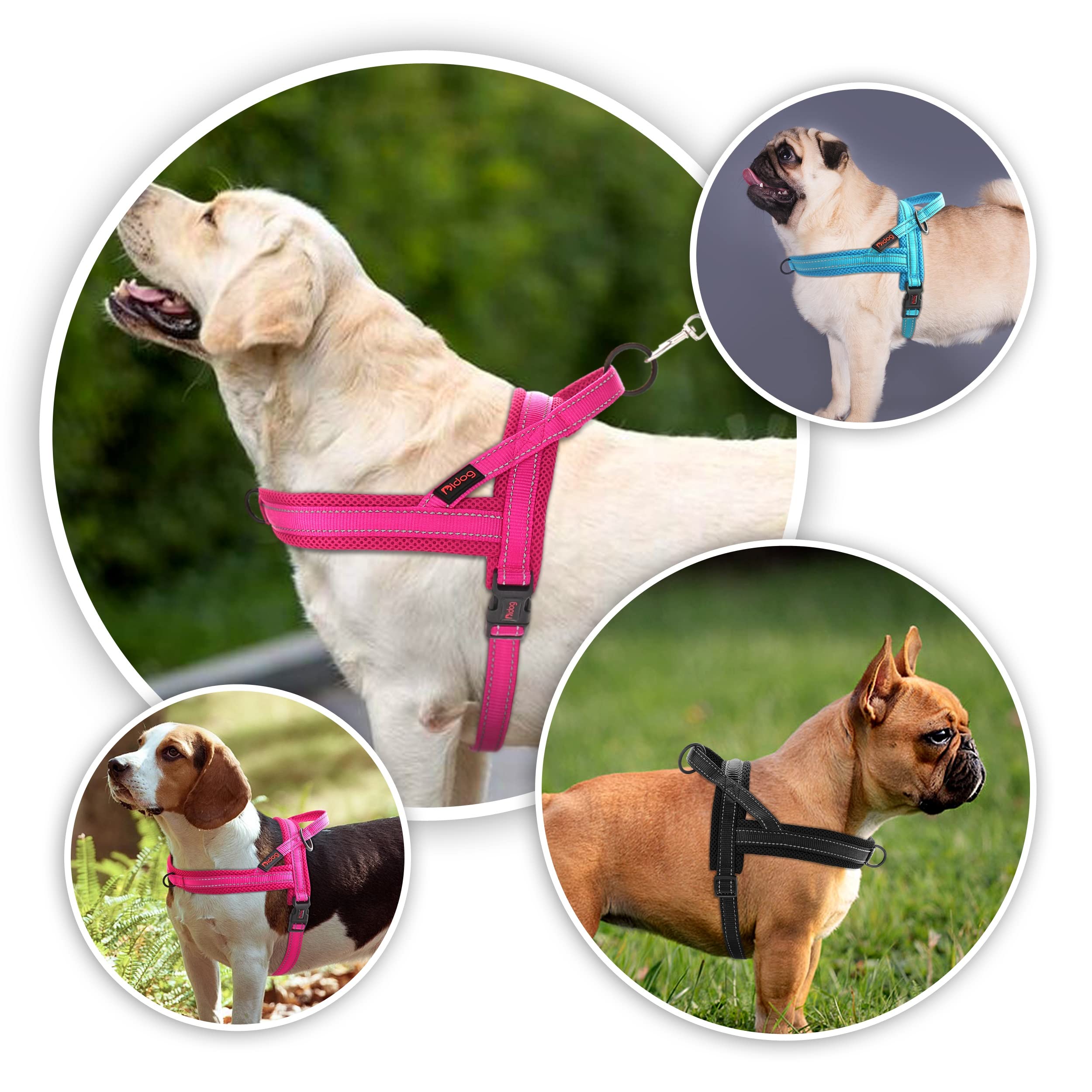 Didog Soft Mesh Padded Dog Vest Harness, Escape Proof / Quick Fit Reflective Dog Strap Harness,Easy For Walking Training (S:Chest 18-22', Mesh-Blue)