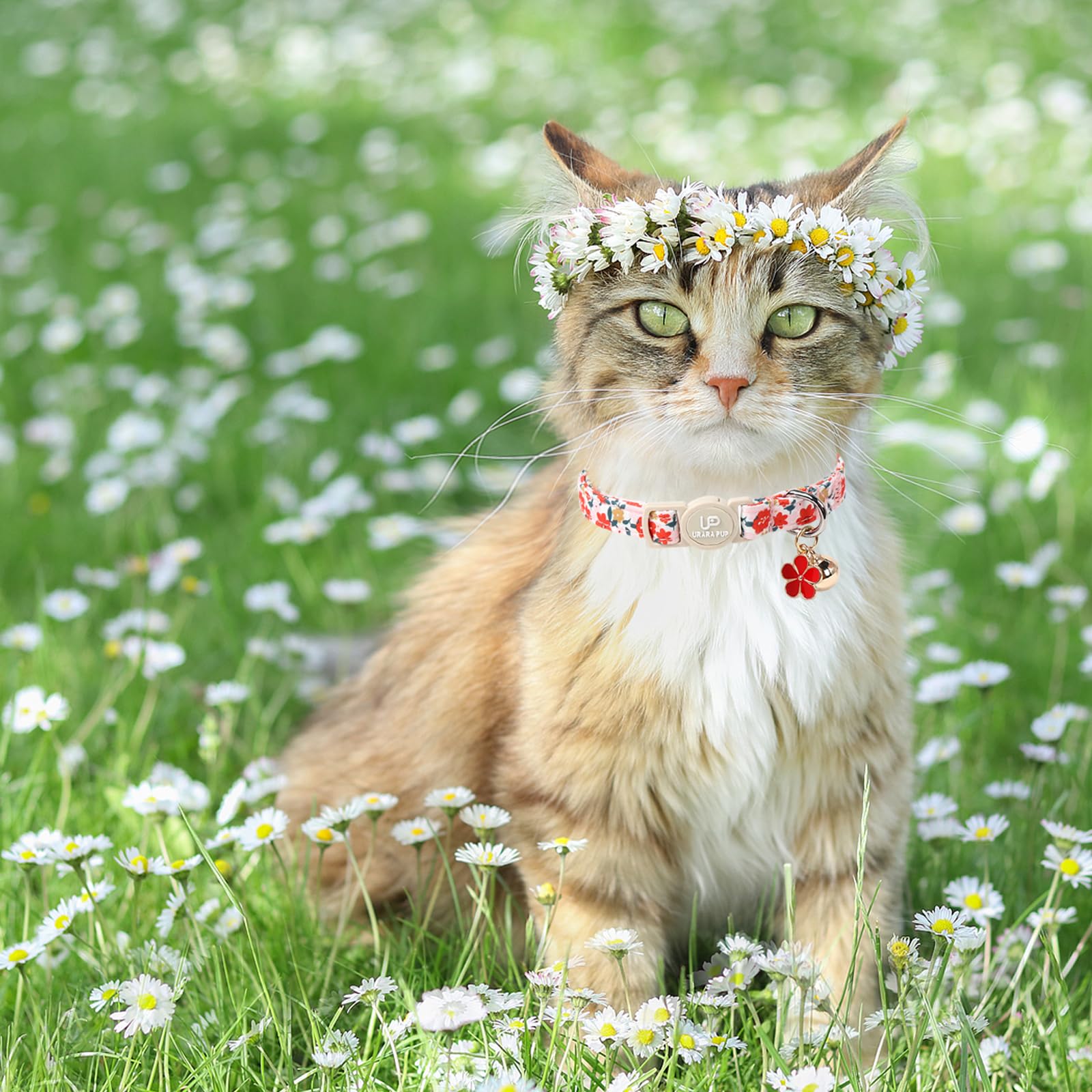 Up Urara Pup Cat Collar, 2Pack Flower Cats Collars-Cute Summer Breakaway Cat Collar With Bell & Pendant, Pretty Flower Kitten Co