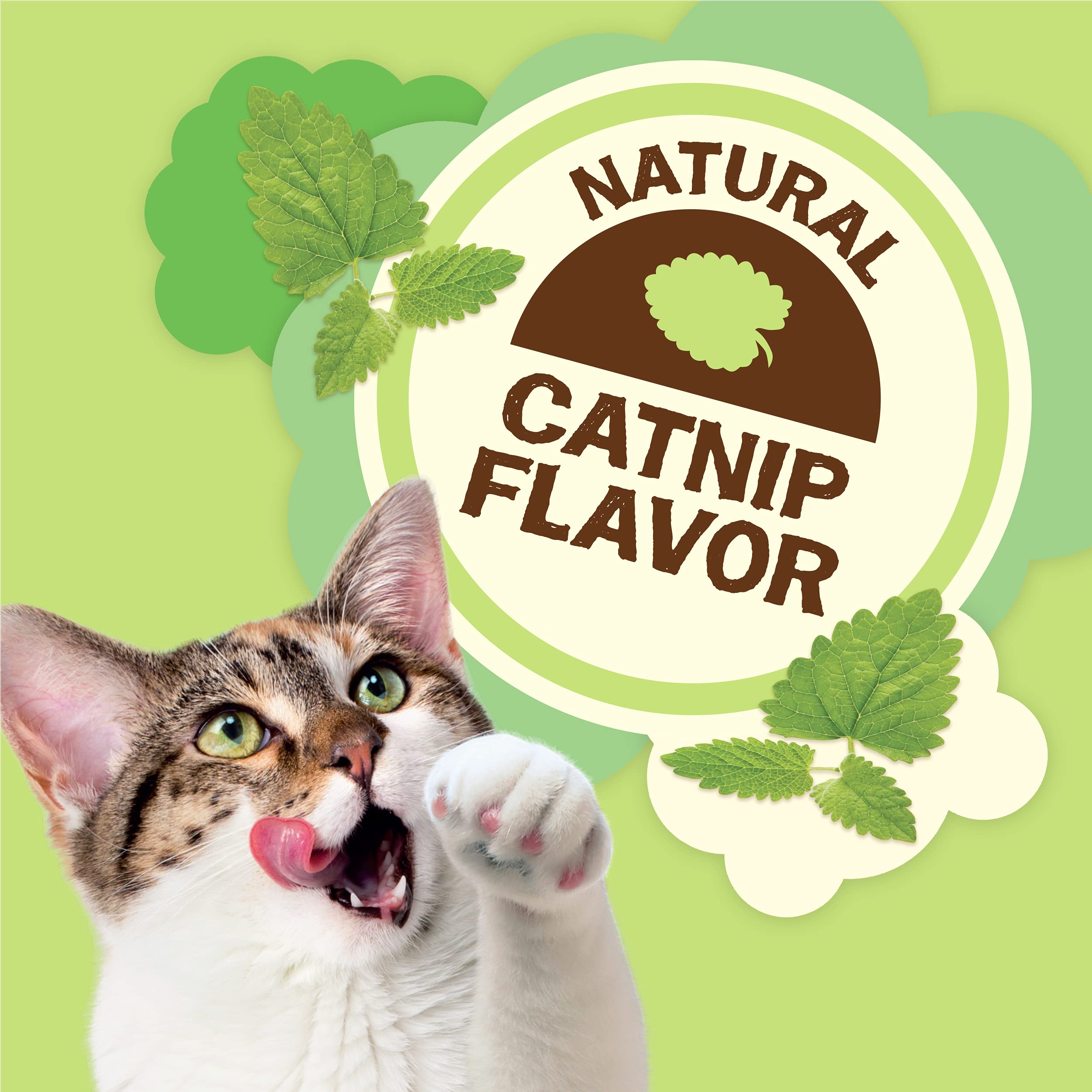 Purina Friskies Made in USA Facilities, Natural Cat Treats, Party Mix Natural Yums Catnip Flavor - (Pack of 10) 2.1 oz. Pouches
