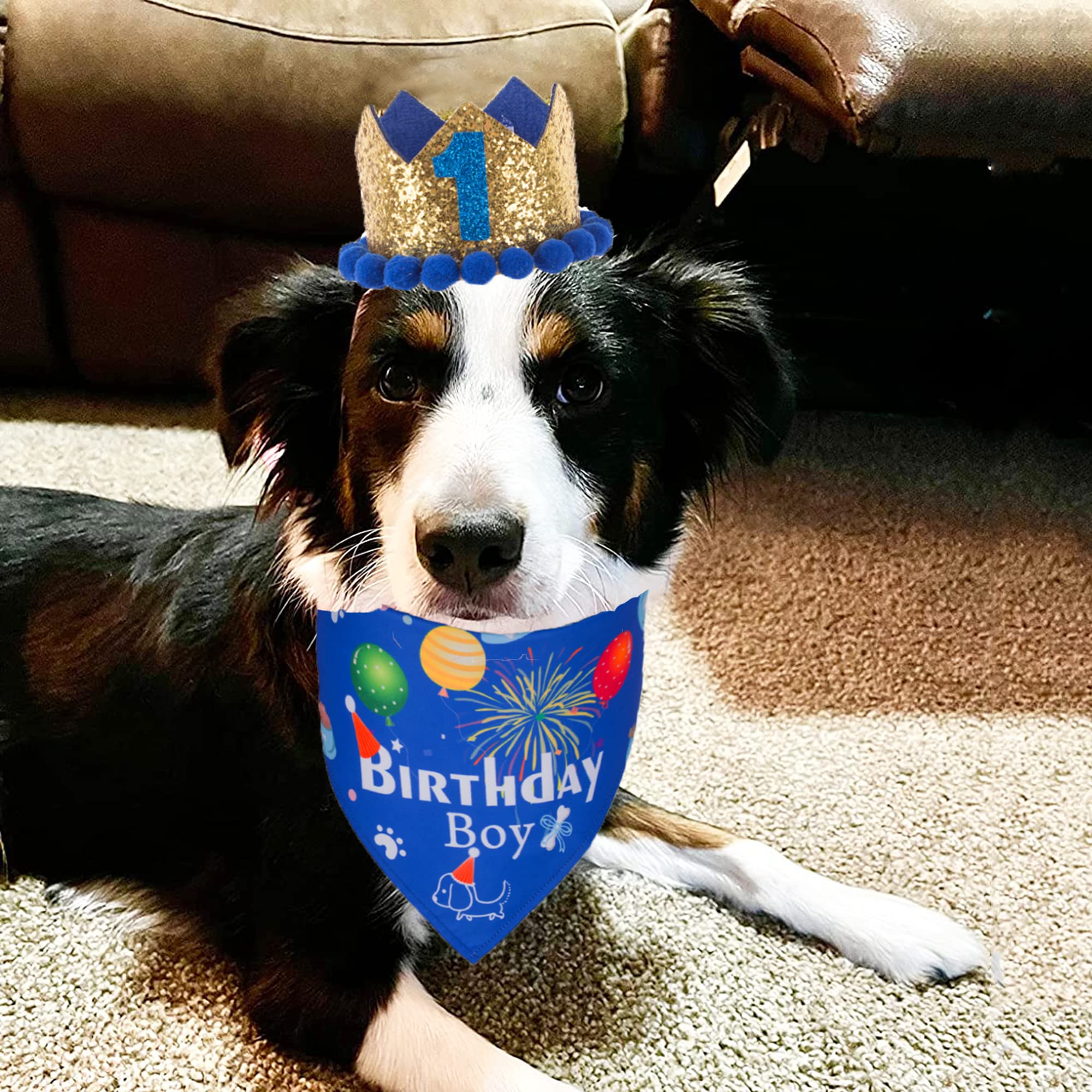 ADOGGYGO Dog Bandana Hat Set for Birthday Party Supply, Boy Girl Pet Birthday Scarf for Medium Large Dog (Large, Blue)