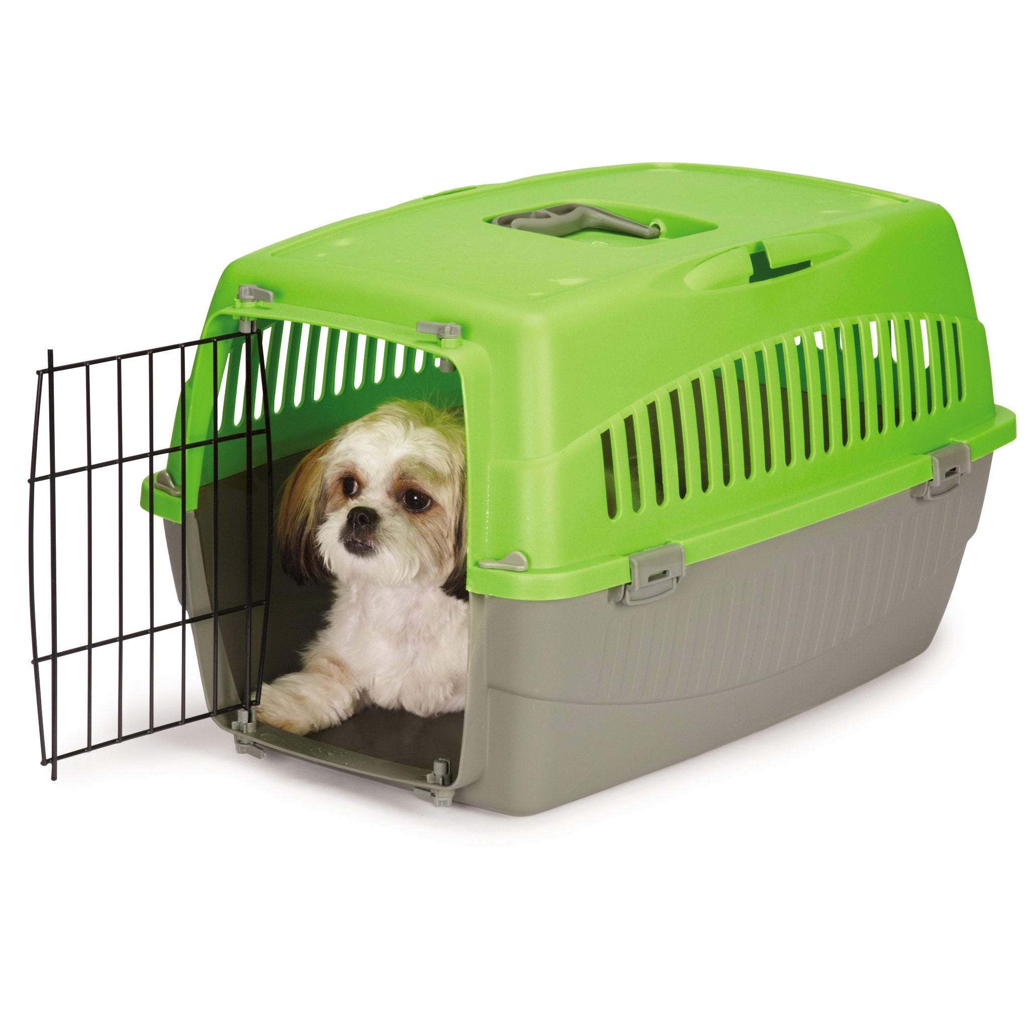 Cruising Companion Carry Me Pet Crate Medium Green