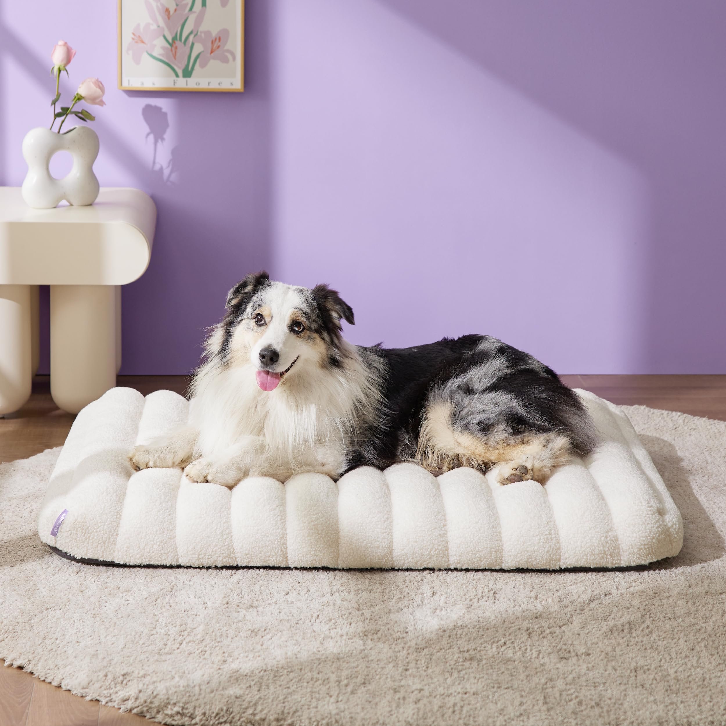 Lesure Cute Orthopedic Dog Bed Large Sized Dog, Waterproof Chic Flat Pet Beds With Removable Washable Cover, Fuzzy Thick Egg Cra