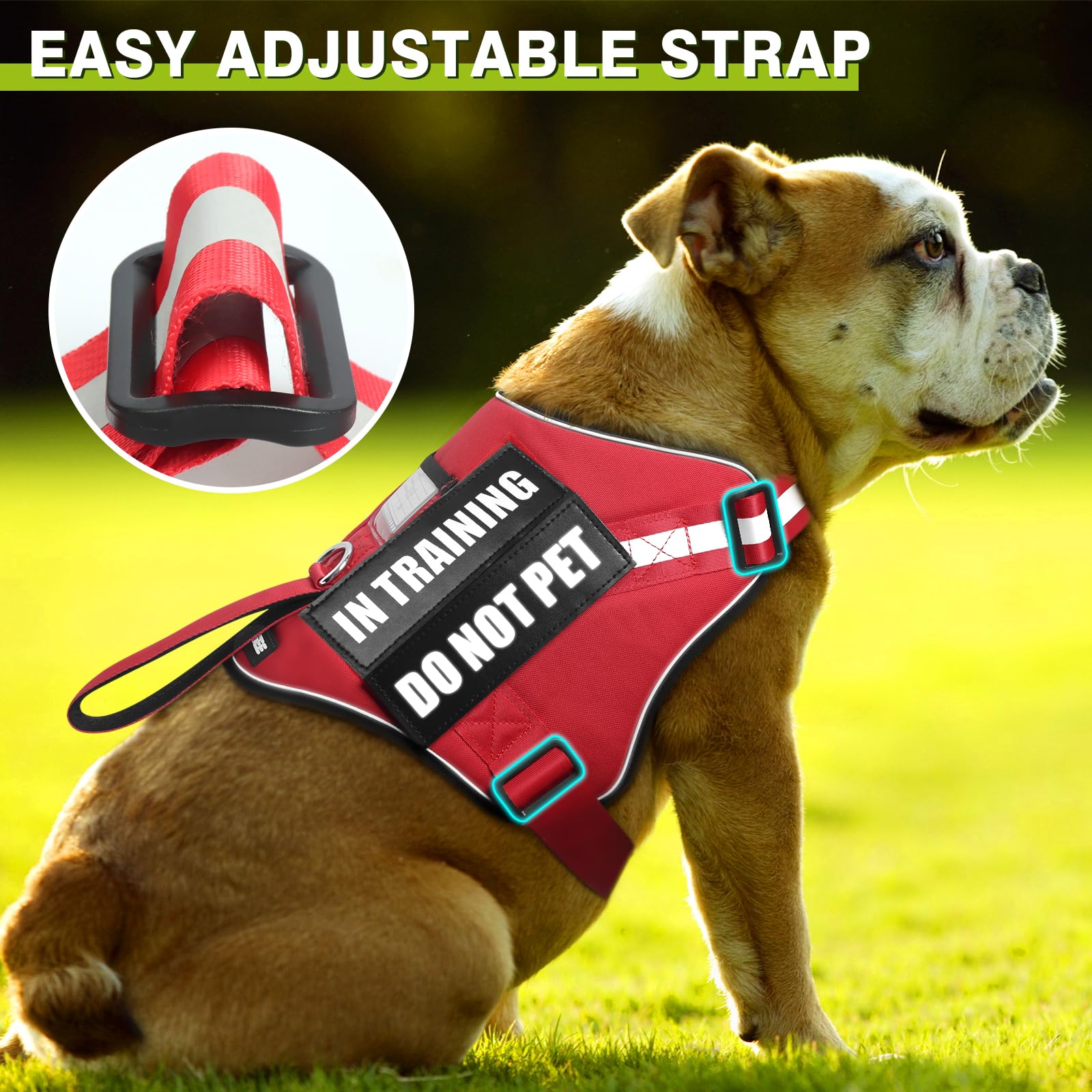 Winsee Small Dog Harness & Leash Set, Red, X-Small, Nylon, Emotional Support Therapy Vest With 10 Patches, Breathable, Adjustabl