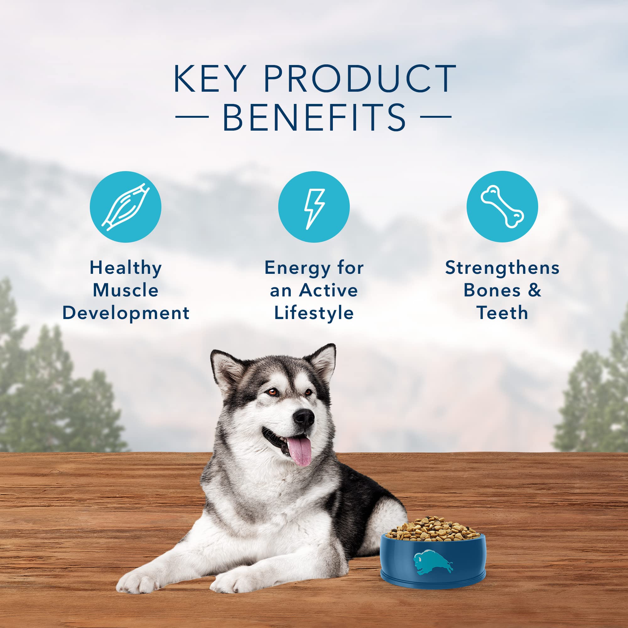 Blue Buffalo Wilderness Rocky Mountain Recipe High Protein Dry Dog Food, 22 lb, Red Meat
