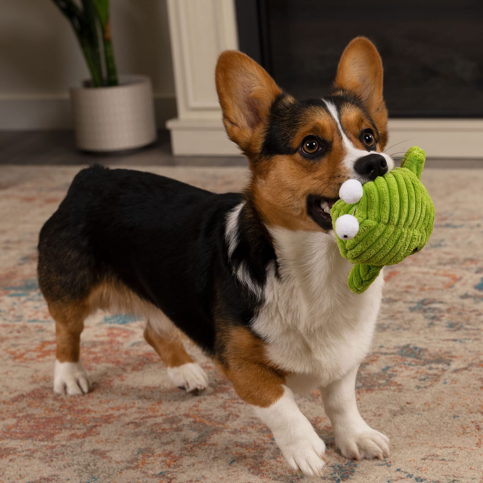 goDog PlayClean Germs Squeaky Plush Dog Toy - Large, Green, Chew Guard Technology, Odor-Eliminating Essential Oils, Model 70100