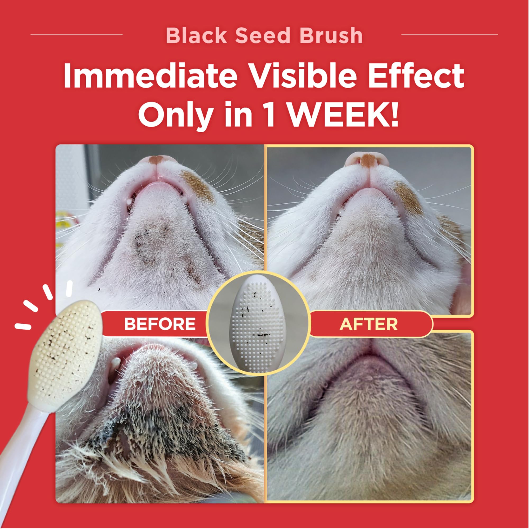 Jayu Pet Black Seed Brush - Cat Acne Chin Treatment, Cat Acne Brush, Silicone Brush For Cats Chin Acne & Blackhead Exfoliation, Double-Sided Cat Grooming Brush (1Pcs)