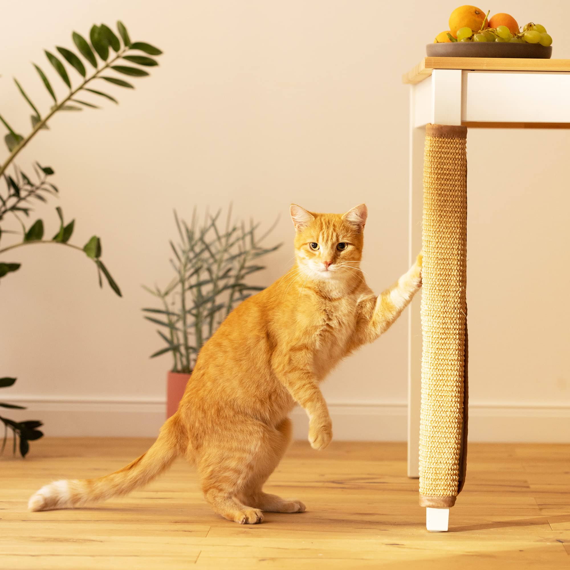 Navaris Table Leg Cat Scratcher - Sisal Scratching Mat Protector For Furniture Legs - Scratch Pad Protection With Wrap Around Straps 23 5/8' X 9 7/8'