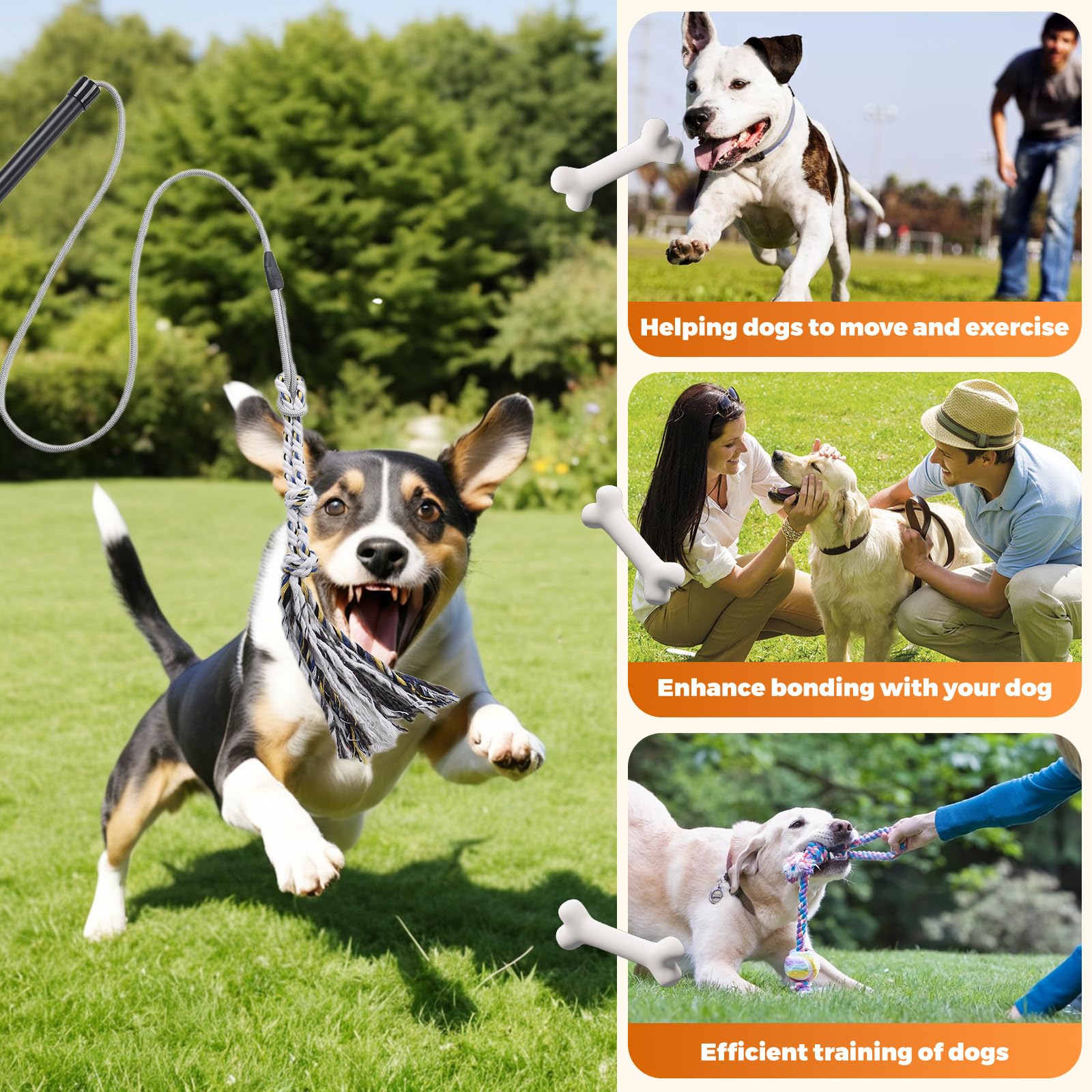 Pragmatist Outdoor Flirt Pole For Dog, Detachable Dog Flirt Pole Heavy Duty Sturdy Pet Toys For Outdoor Exercise & Training Dura