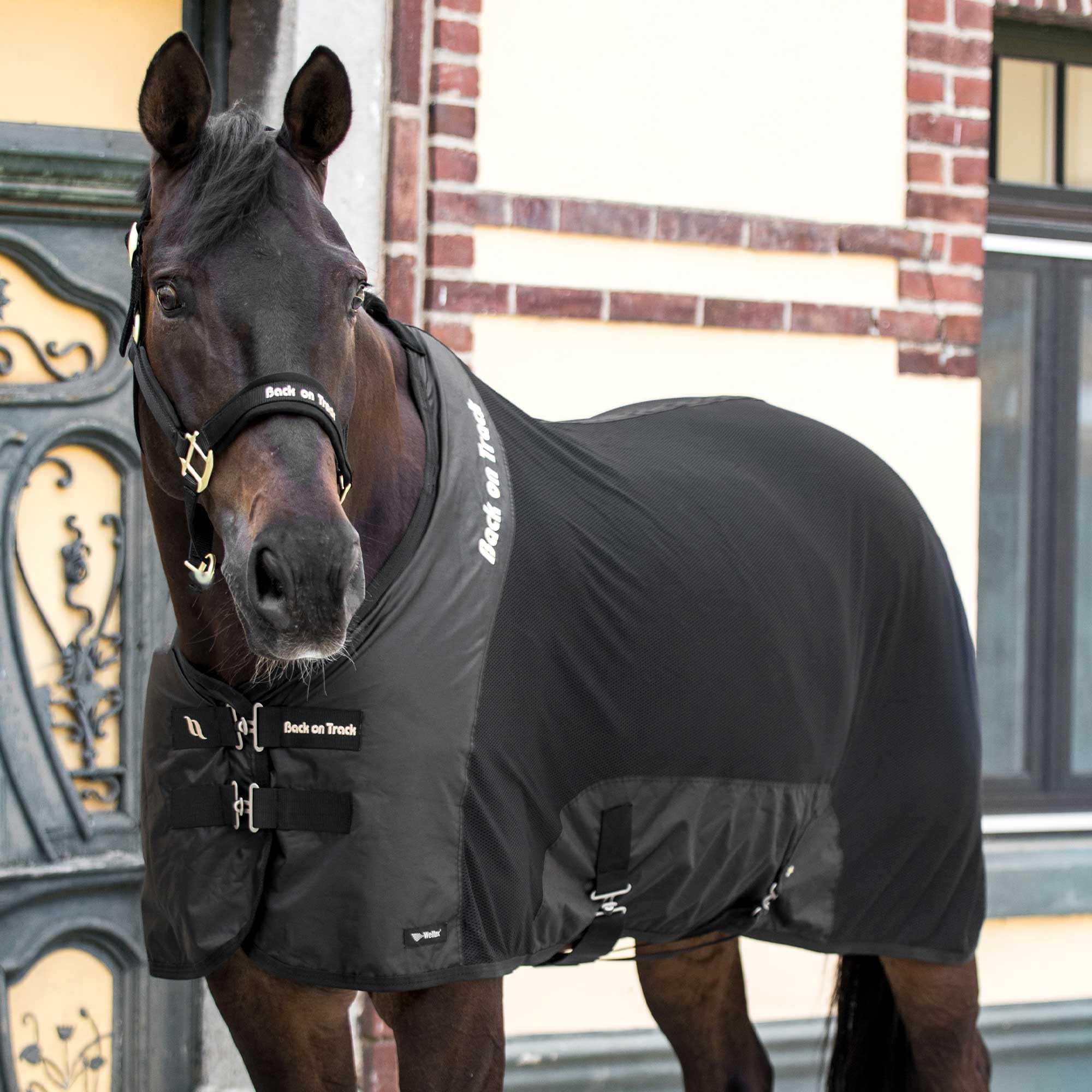 Back on Track Royal Mesh Sheet Deluxe - Equestrian Sport Versatile Lightweight Blanket Stable Sheet with 2 Front T-Buckles Closu