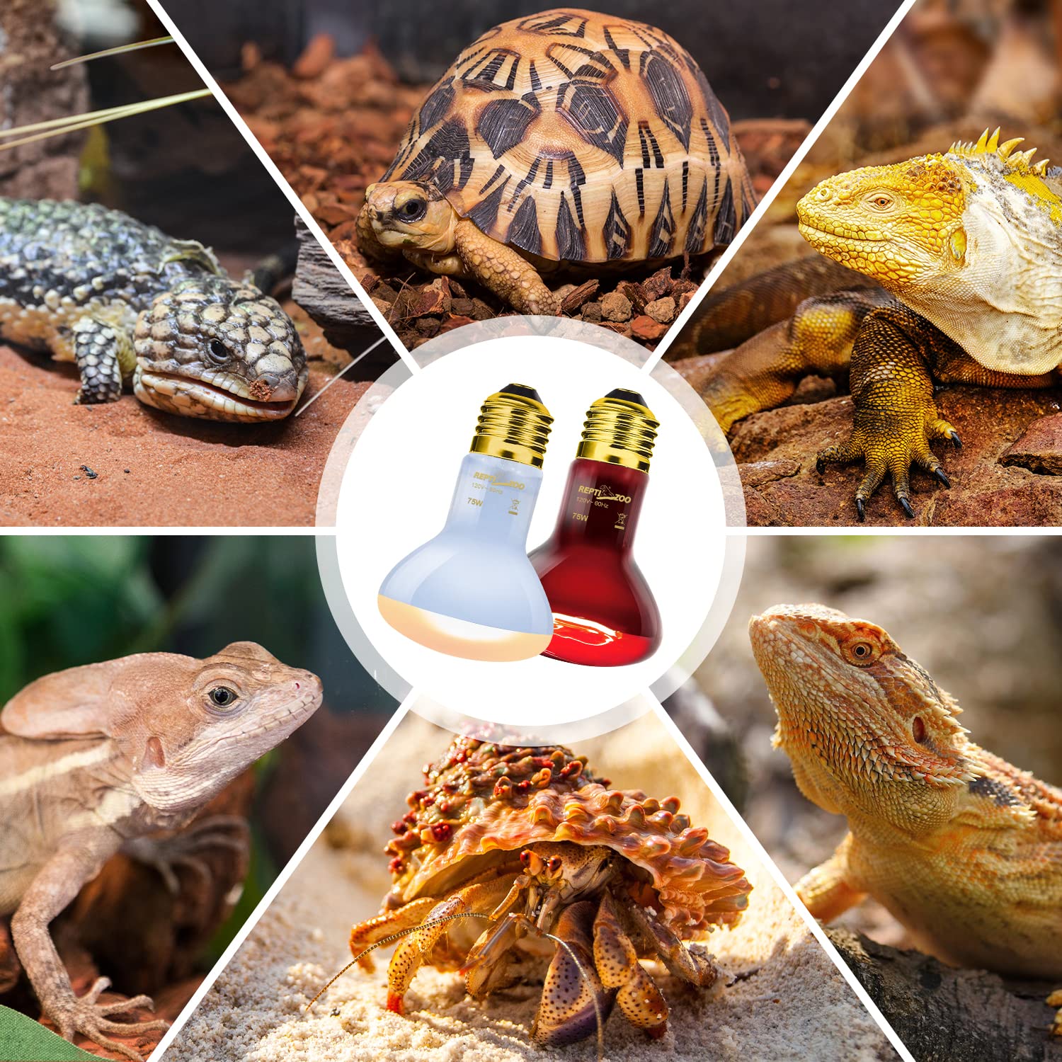 Reptizoo 75W Reptile Heat Lamp Bulb 2Pcs Day & Night Heat Lamp Combo Pack Include Nightlight Infrared Heat Emitter And Uva Daylight Heating Lamp