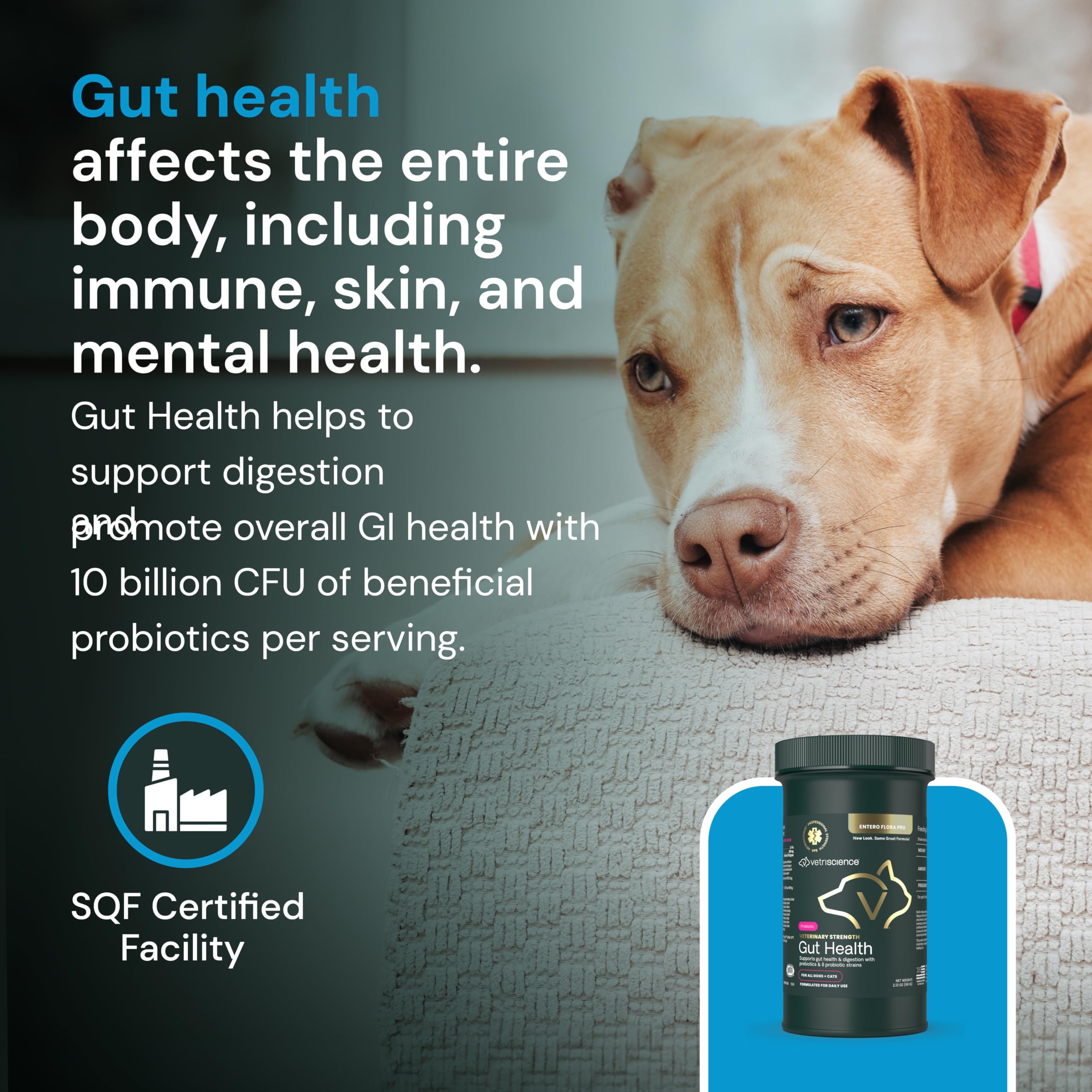 VetriScience Veterinary Strength Gut Health Powder - Gut Health Supplement for Pets - Immunity Support - Pet-Friendly Probiotic