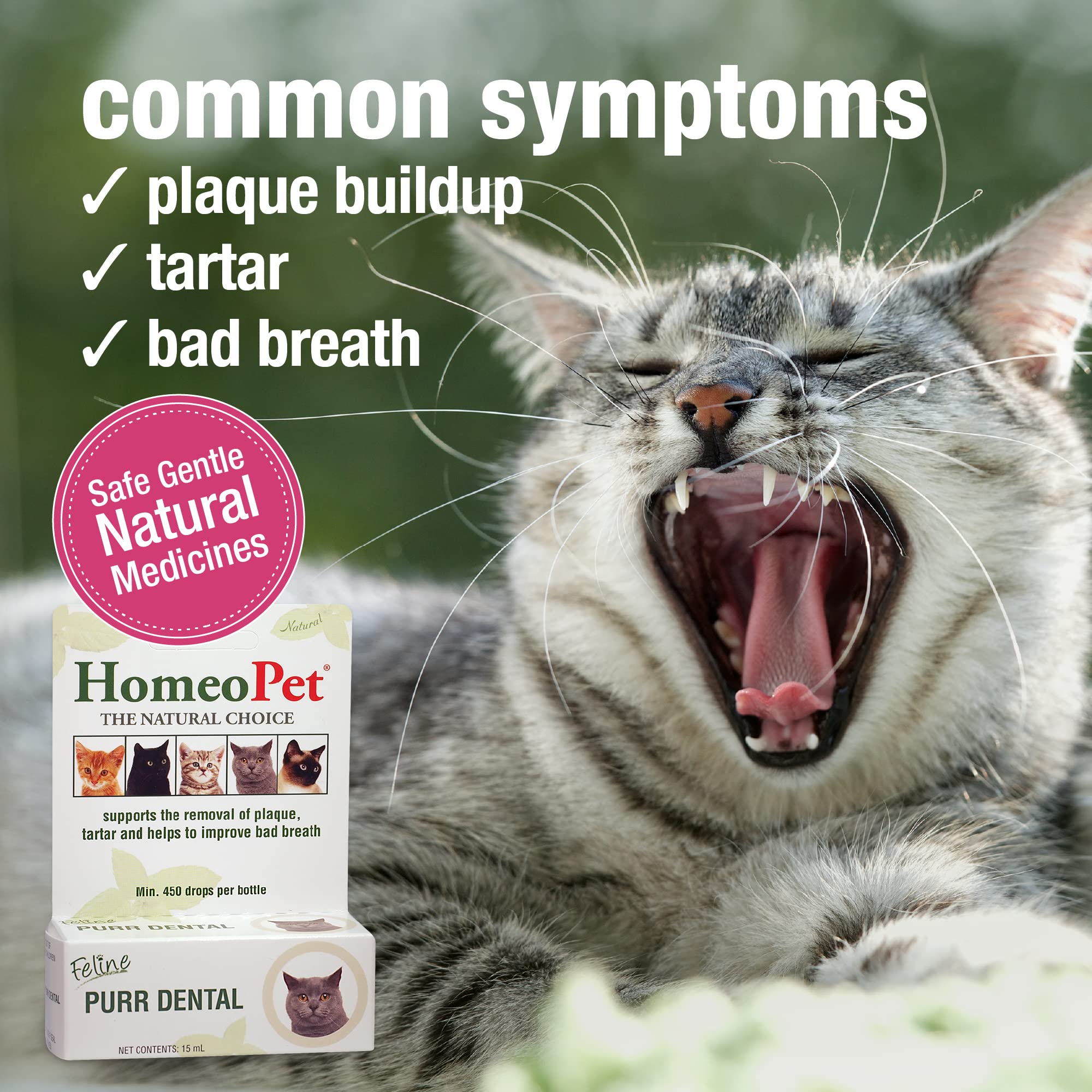 HomeoPet Feline Purr Dental, Safe and Natural Tooth and Dental Care for Cats, Cat Dental Care, 15 Milliliters