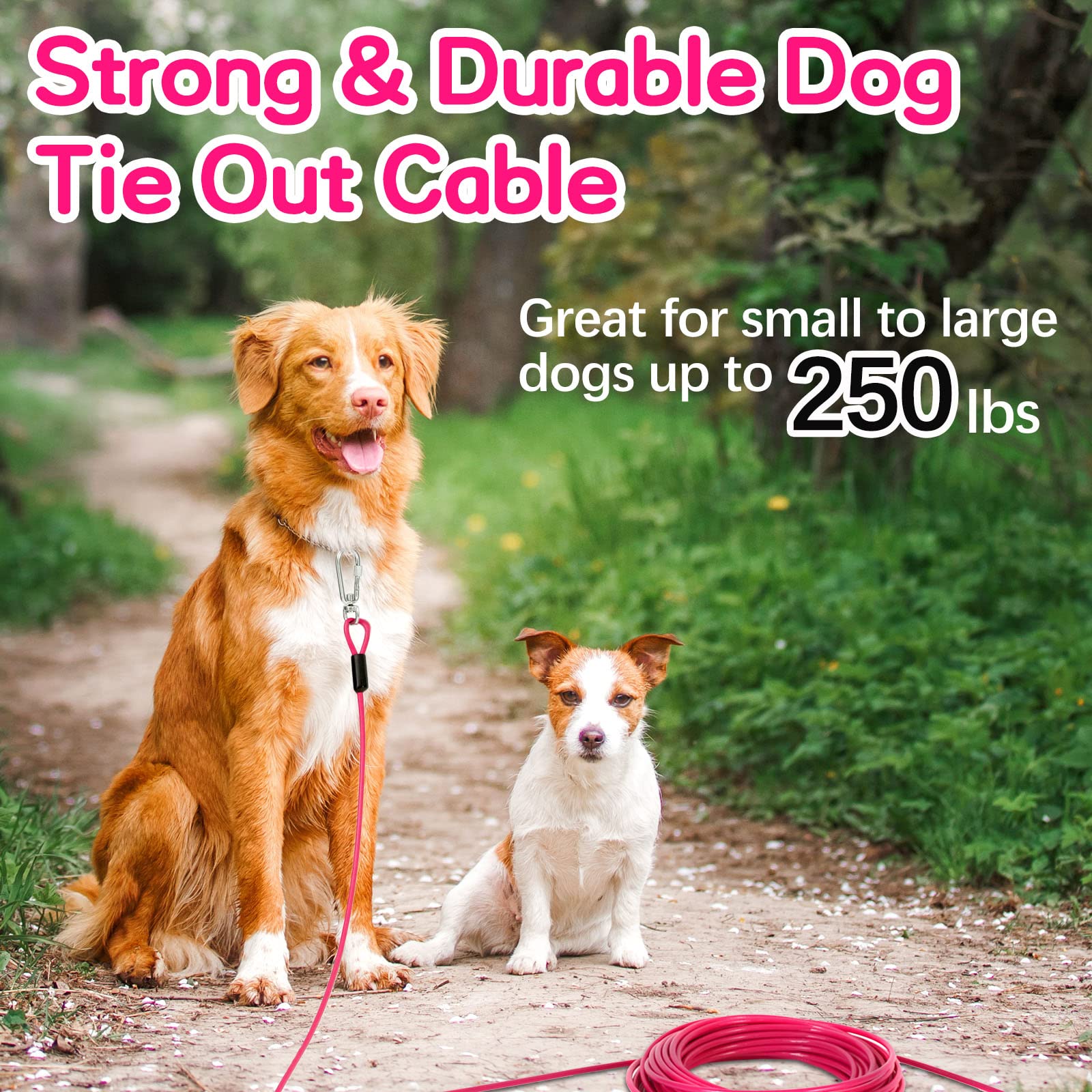 Tie Out Cable For Dogs, 10Ft Dog Leads For Yard Chew Proof, Heavy Duty Dog Tie Out Cable For Large Dogs Up To 250Lbs, Durable Dog Runner For Yard Or Camping