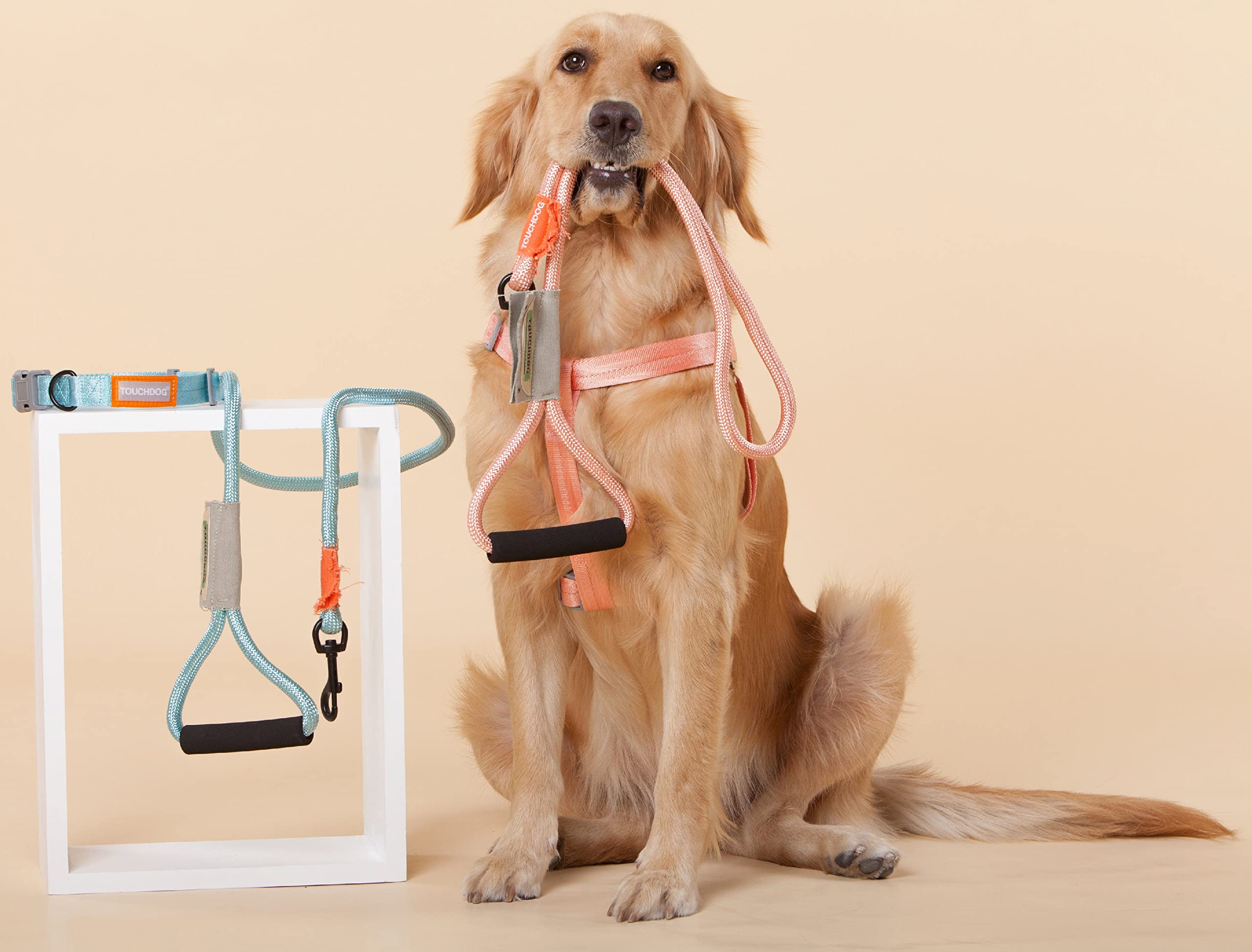 Touchdog  Macaron 2-in-1 Durable Nylon Dog Harness and Leash