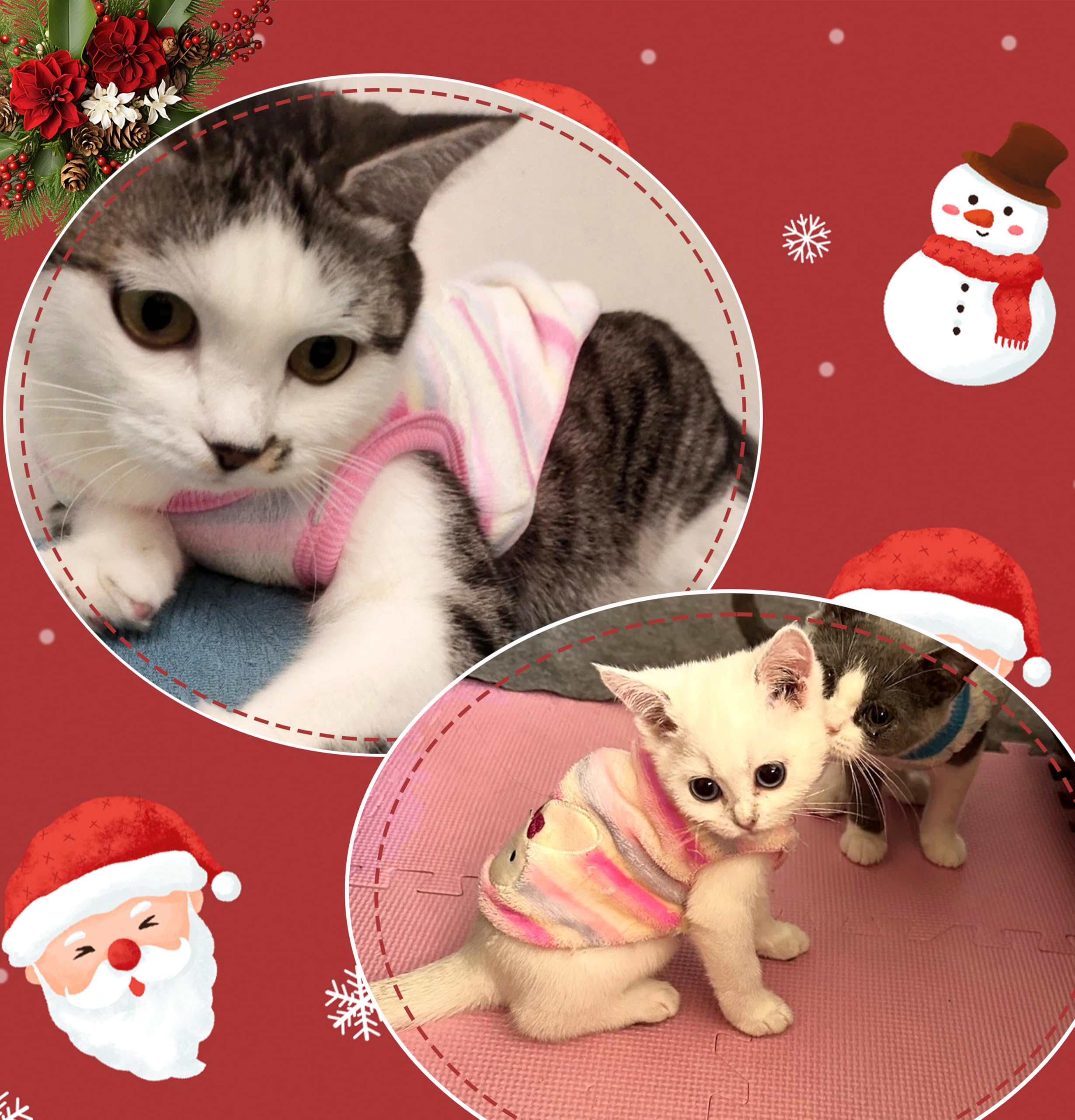 2 Pieces Chihuahua & Puppy Sweater - Cute Small & Extra Small Dog Sweater - Fleece Winter Dog Clothing