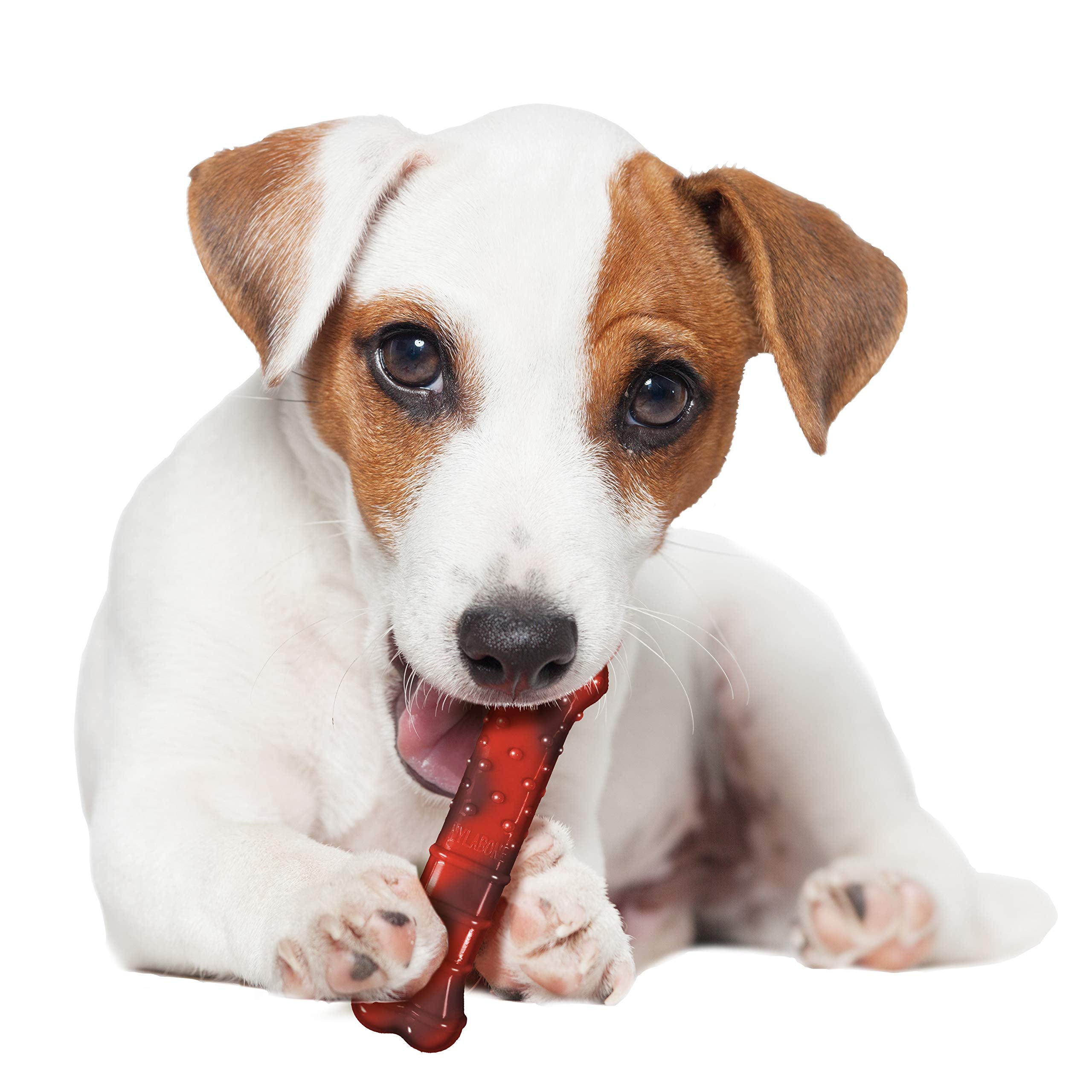 Nylabone 3 Pack Of Power Chew Textured Chew Toys, Regular, Beef Jerky Flavor Bone For Dogs Up To 25 Pounds, Made In The Usa