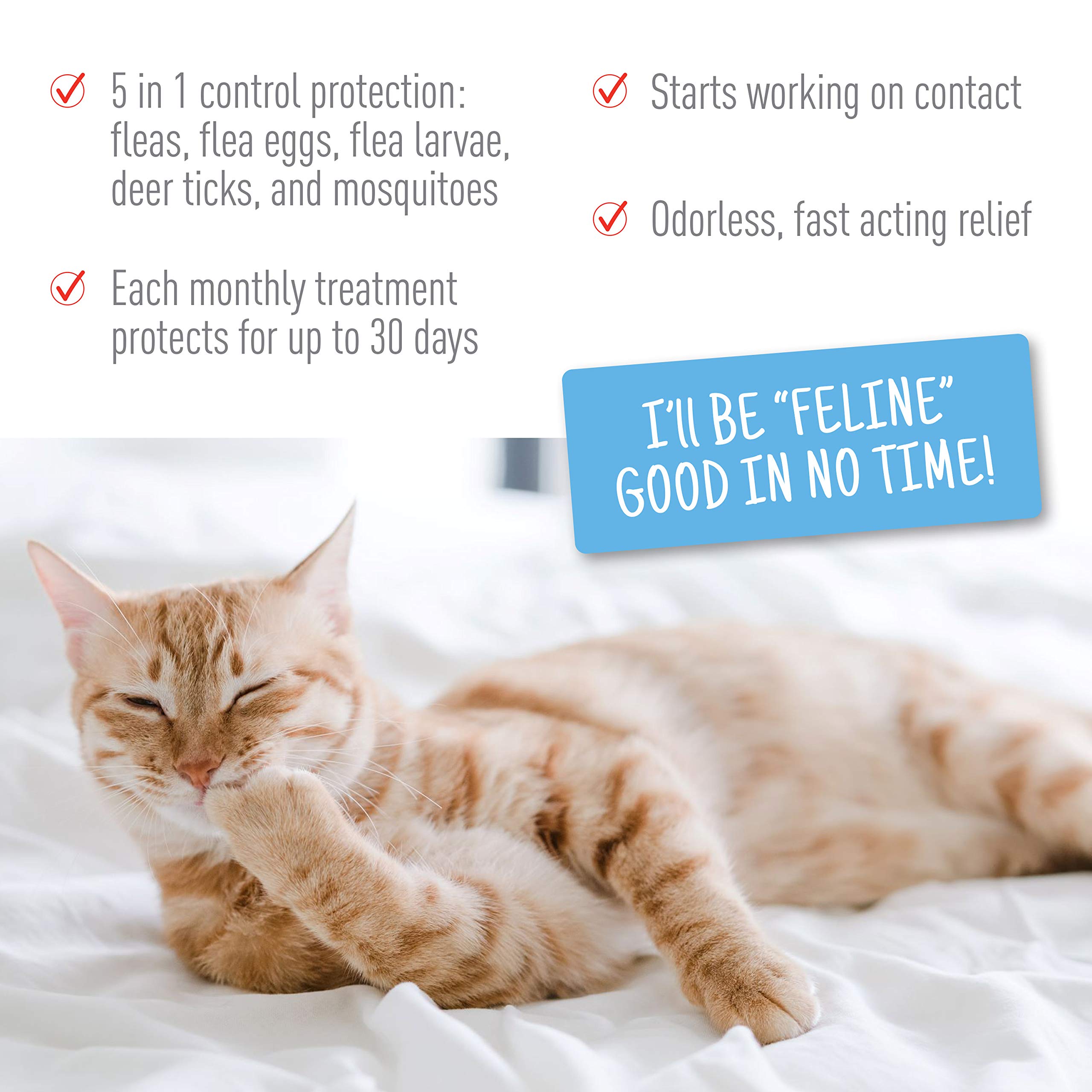 Adams Plus Flea & Tick Spot On for Cats Over 2.5 lbs but Under 5 Pounds 3 Month Supply