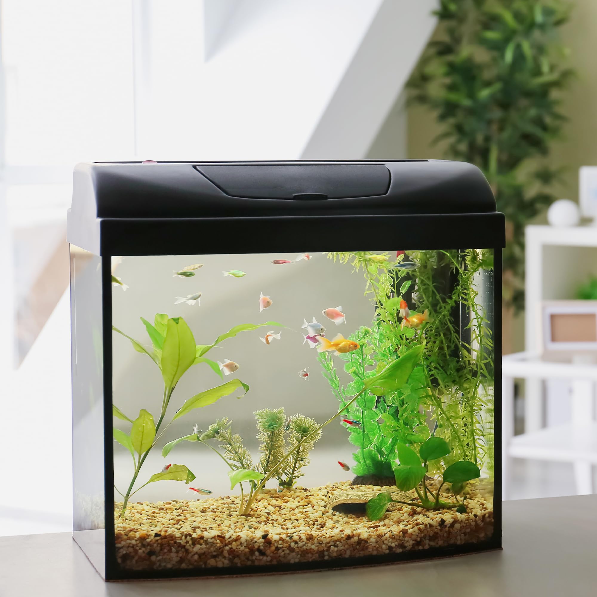 VINICS 10 lbs Aquarium Gravel, 1-2mm Fish Tank Gravel, Premium Gravel and Substrate for Aquariums, Fish Tanks and Terrariums, Xi