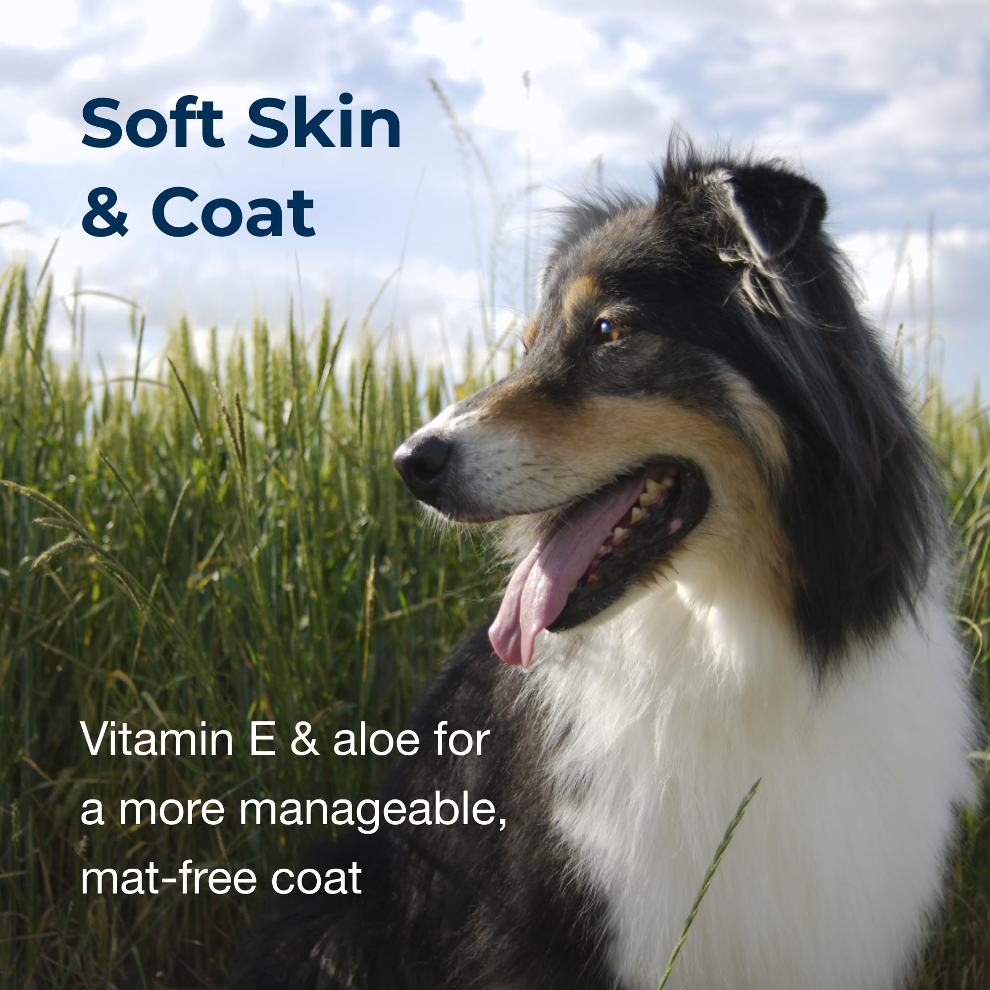 Petag Fresh ’N Clean Macho Macho Dog Shampoo - 18 Oz - Masculine Scent - Moisturizes With Vitamin E & Aloe Vera - Strengthens & Repairs Coats - Soap Free