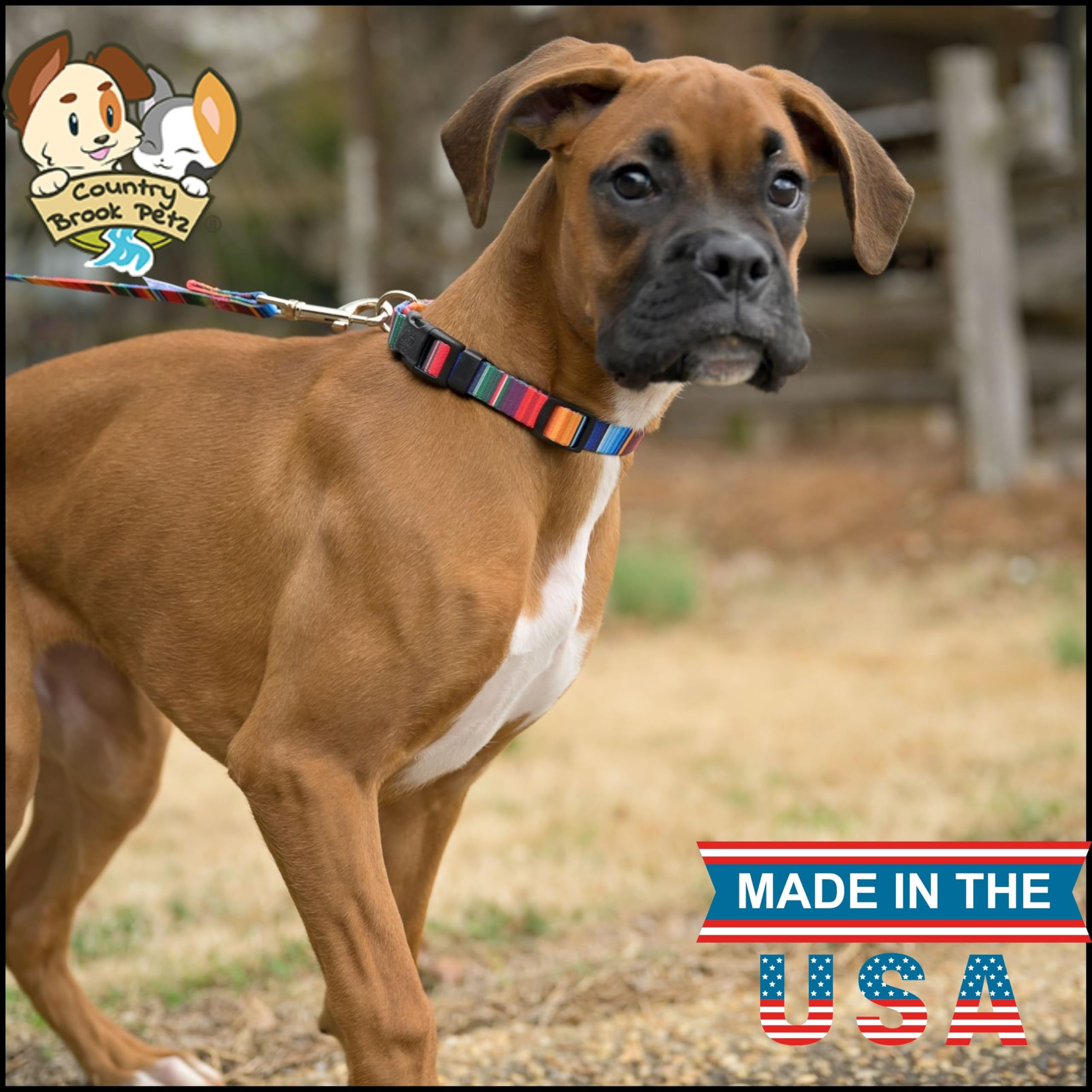 Country Brook Petz - Deluxe Serape Dog Collar - Made In The U.S.A. - Country And Western Collection Featuring Rustic Designs (5/