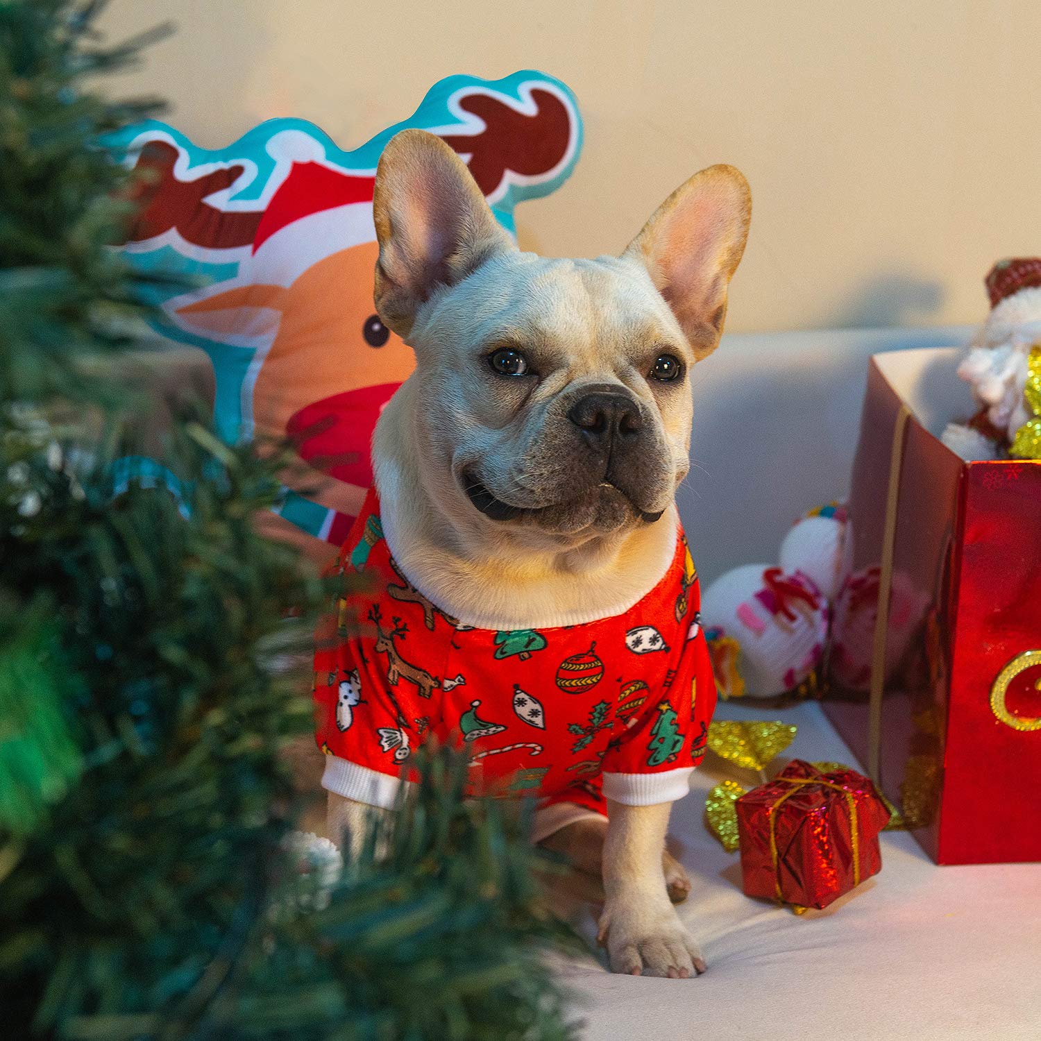 Cutebone Dog Halloween Pajamas Skull Clothes Soft Puppy Pjs For Small Dogs P247S