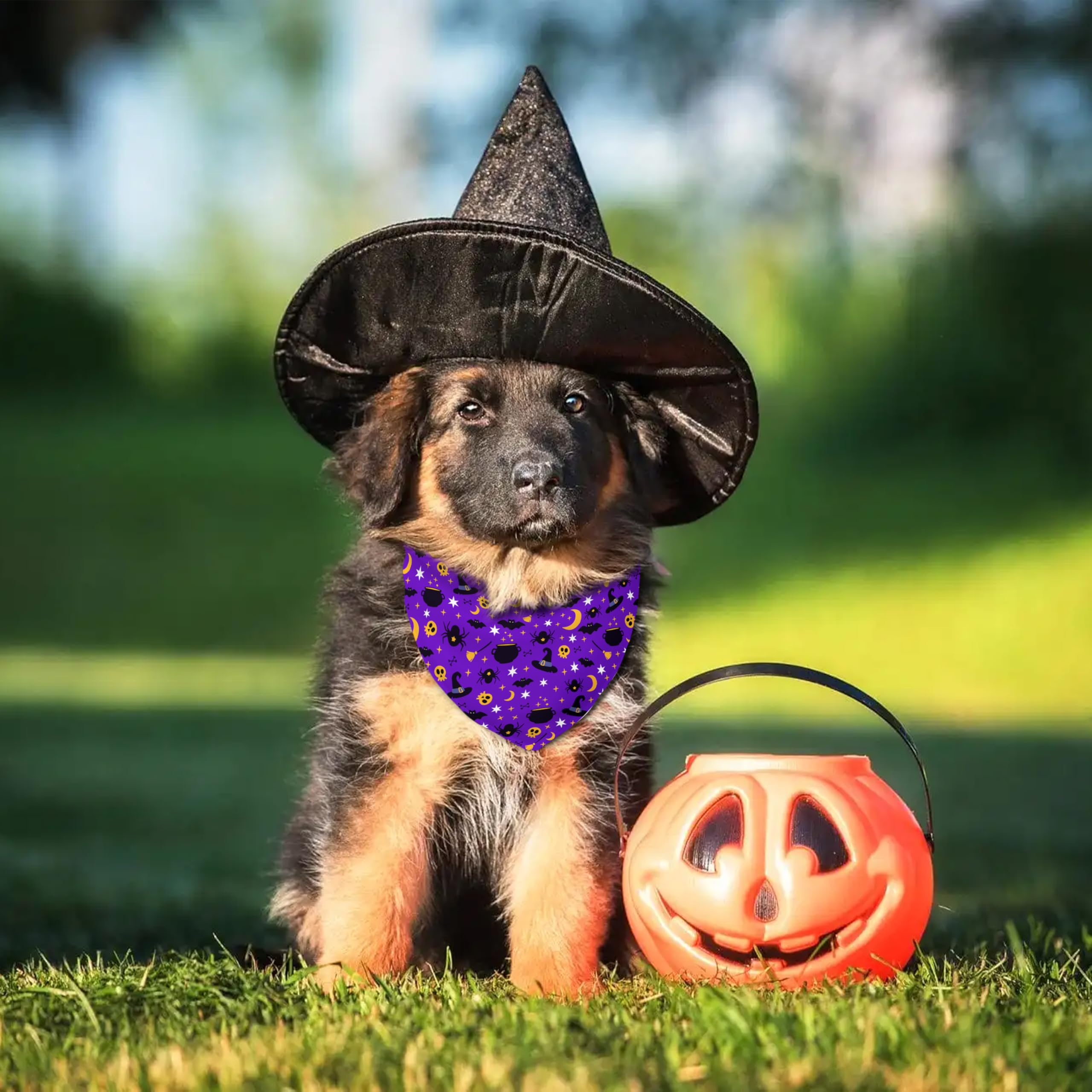 Fall Halloween Dog Bandanas Reversible 2 Pack Small, Orange Black Spider Web Ghost Witch Hat Cute Halloween Pet Bandanas For Dog