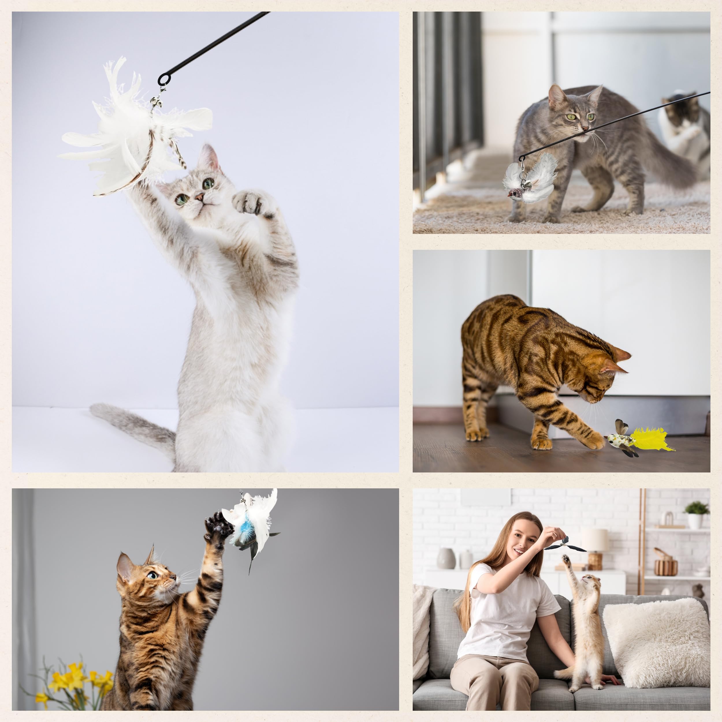 Cutie Paw Pal Variety Play Set, 5 Pack Refills For Wand And Fishing Poles, Spring Wires, Door/Wall Hang Ropes. 2 Bird, 2 Feather