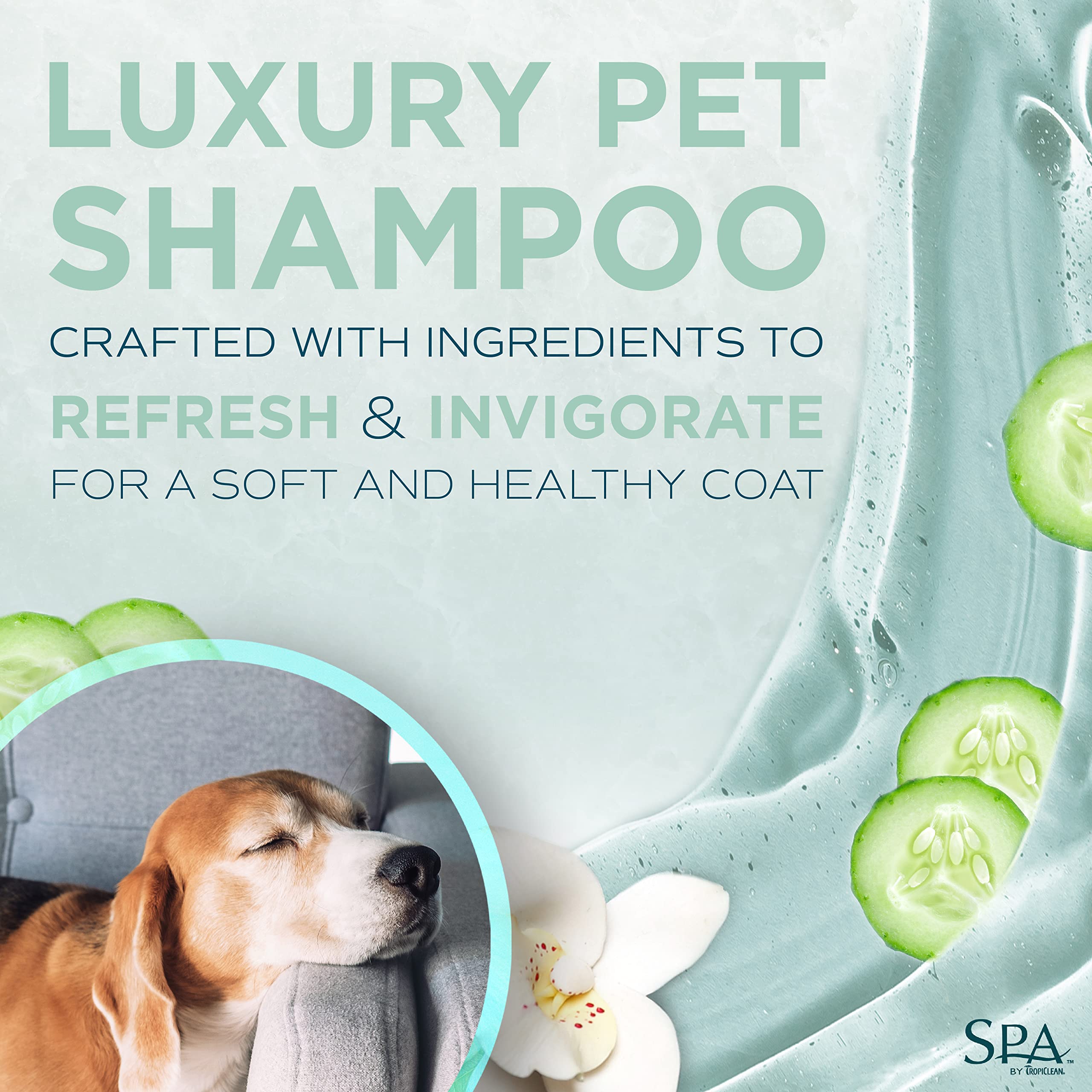 Tropiclean Spa Lavish Dog Shampoo | Fresh Scented Deodorizing Dog Shampoo | Naturally Derived Salon Grade Ingredients | Made In The Usa | 1 Gallon