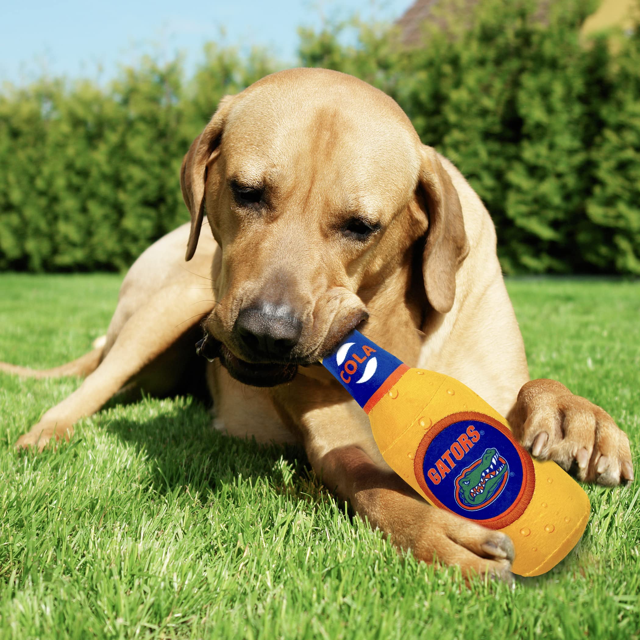 Pets First Ncaa Florida Gators Beer Bottle Plush Dog & Cat Squeak Toy- Cutest Stadium Soda Bottle Snack Plush Toy For Dogs & Cat