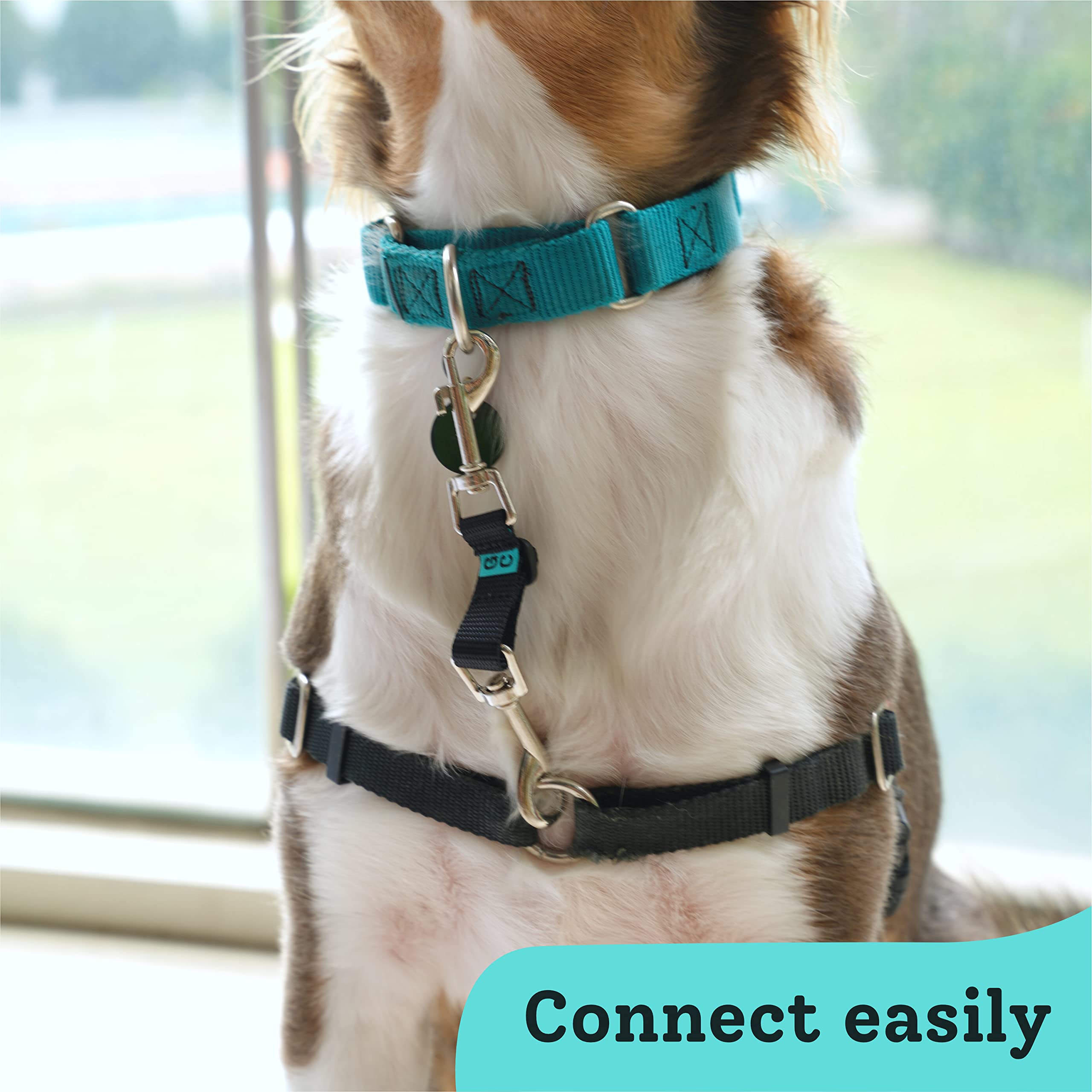 Gentle Creatures Collar Companion - Adjustable Collar Backup Clip For Dog Harness, Prong, Pinch Collar, Gentle Lead - Double Ended Clasp - Safety Clip