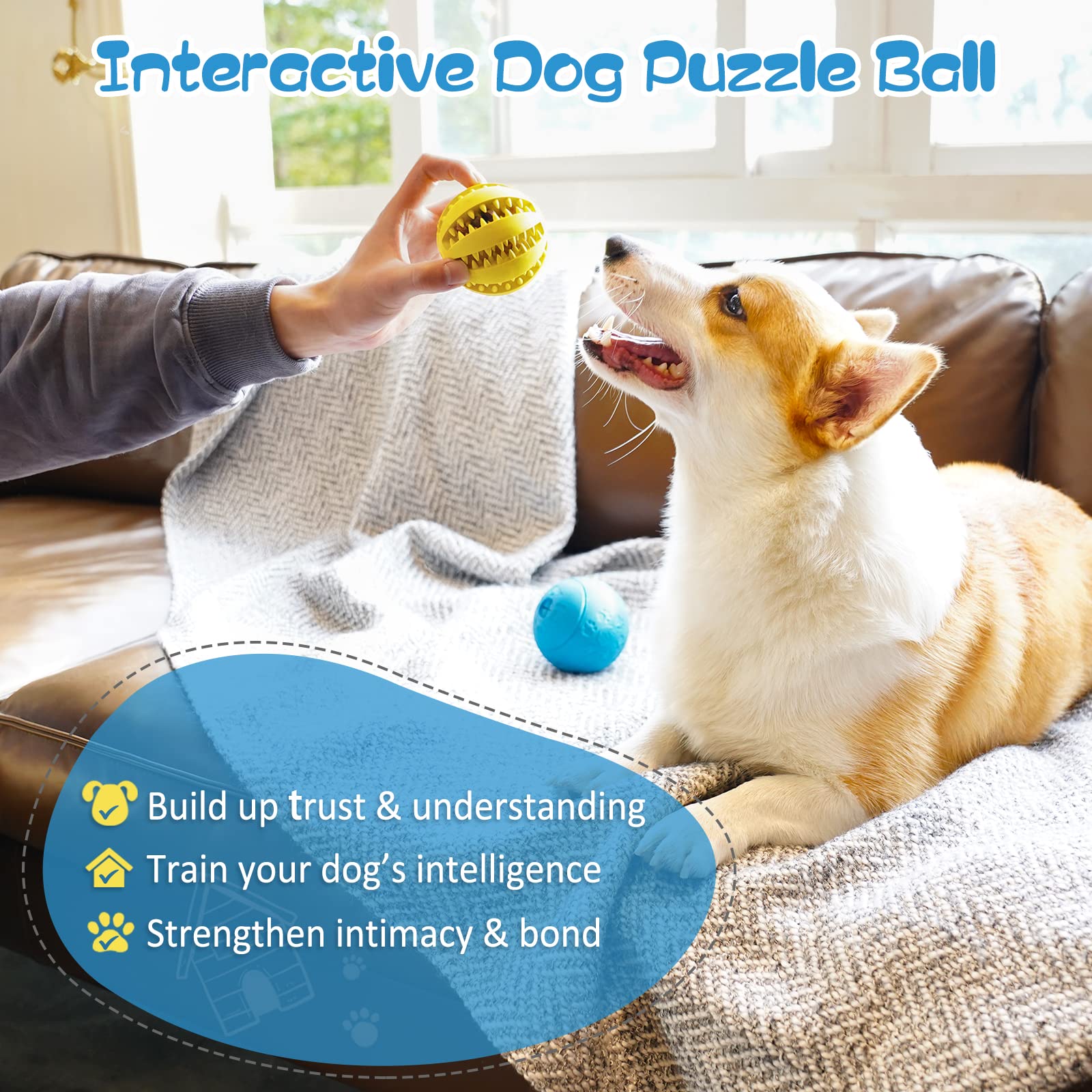 HIPPIH Dog Puzzle Toys 2 Pack, Dog Enrichment Toys for Large Dogs & Small Dogs, Puppy Balls for Treat Dispensing, Durable Balls