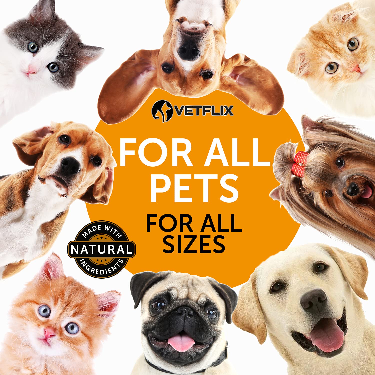 Allergy Immune Anti Itch & Hot Spots - Made in USA Natural Pet Supplement for Cat & Dog Allergy Relief with Turmeric & Milk This