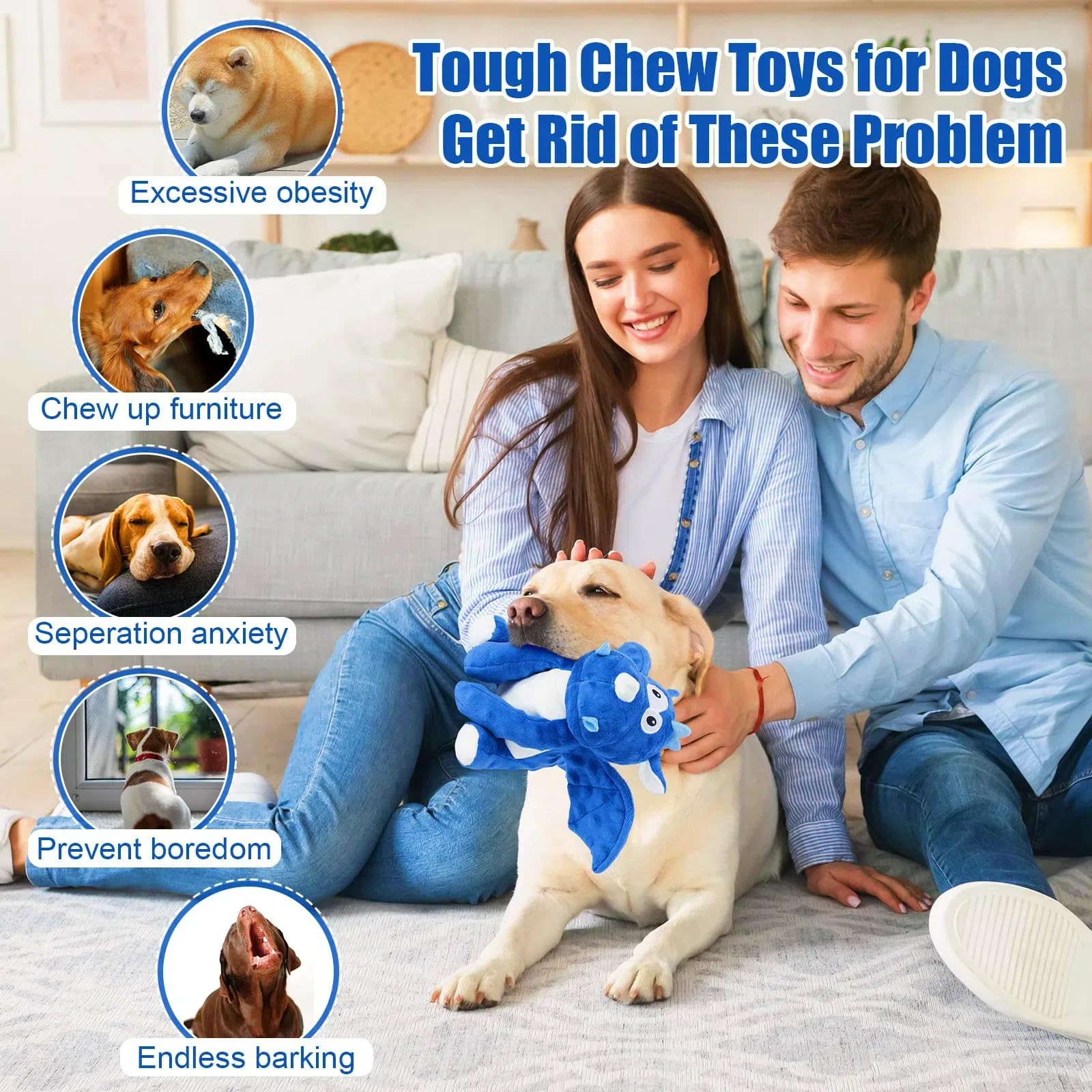 loncoldy Plush Dog Toys, Tough Chew Toys for Dogs, Crinkle Stuffed Squeaky Toy for Small Medium Large Breed, Interactive Plush T