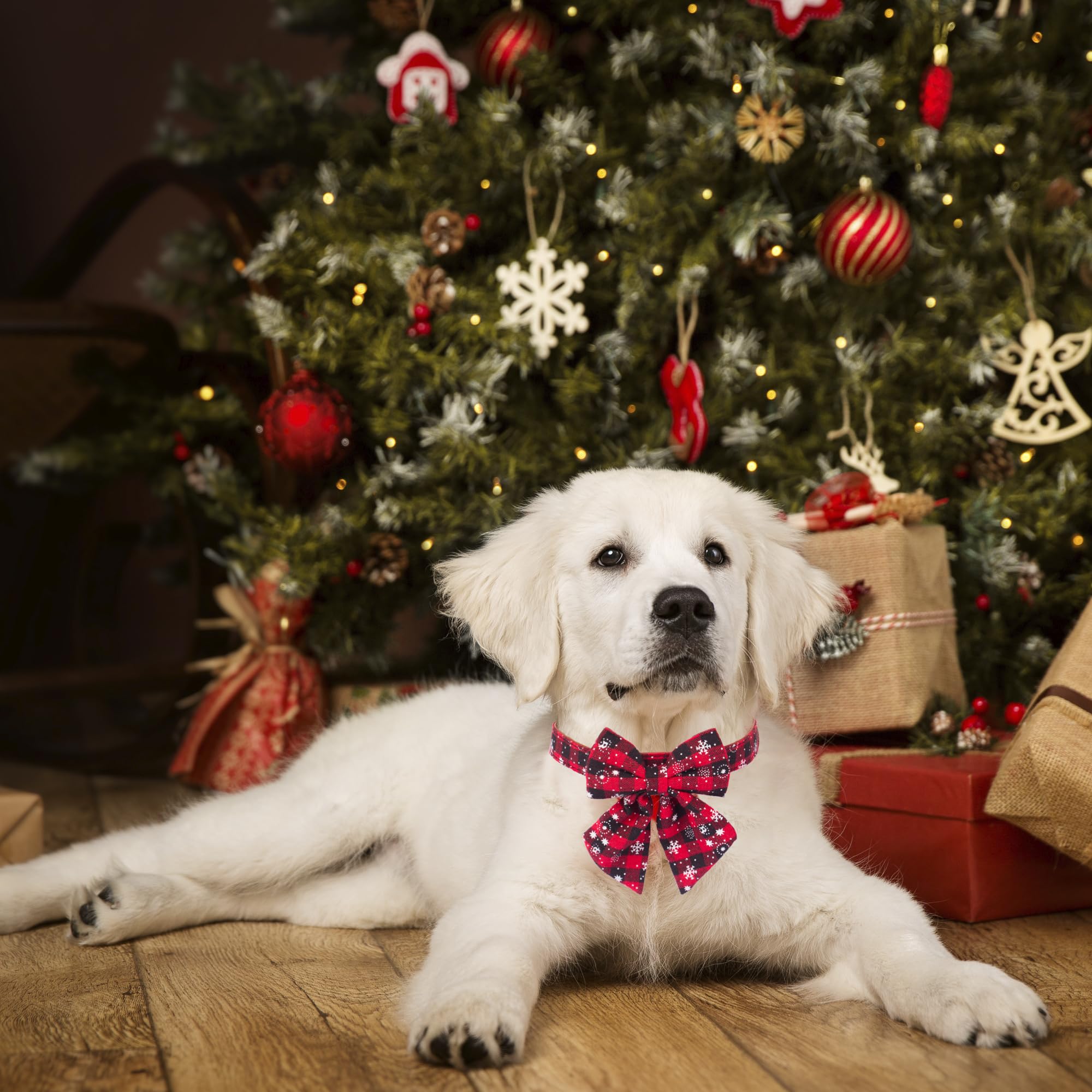 Adoggygo 2 Pack Christmas Dog Collar With Bow Tie, Classic Plaid Red Green Dog Collars With Removable Bowtie Christmas Collars For Medium Dogs Pets (Medium)