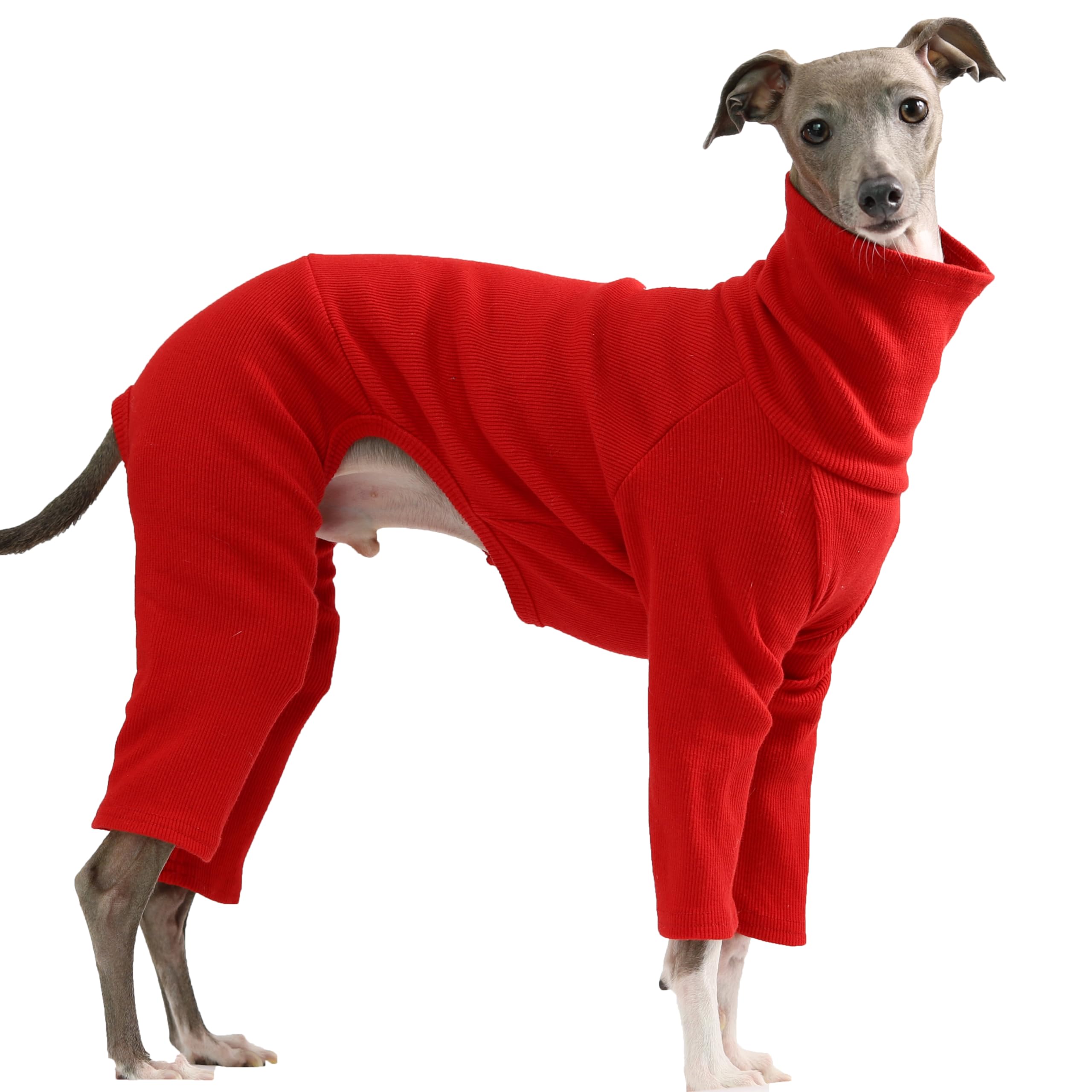D Doggy Star Italian Greyhound Clothes Stretchable Onesie Whippet For Dog (2Xl,Ribbed Red)