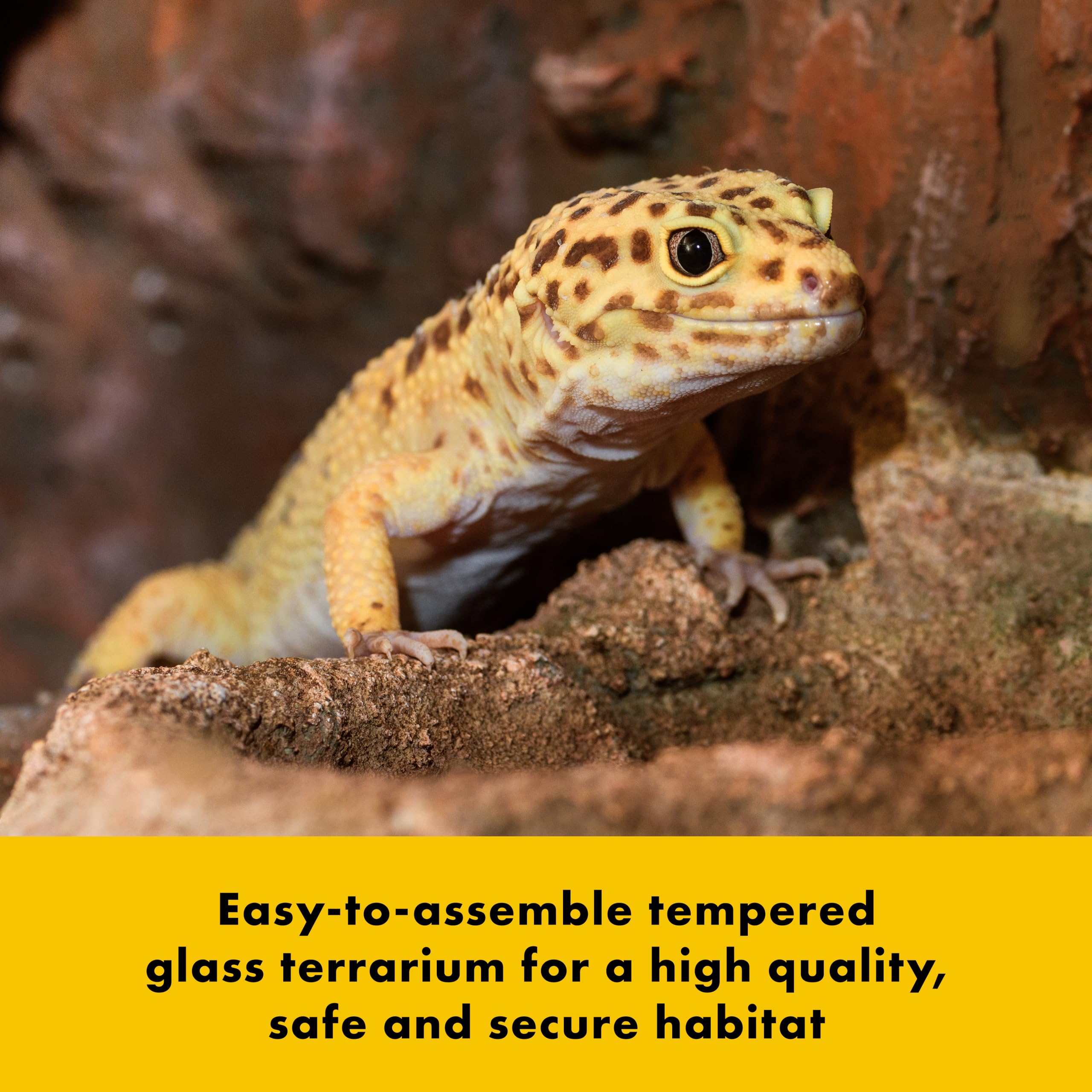 Zilla QuickBuild Reptile 10 Gallon Glass Terrarium Habitat with Bedding Tray For Geckos, Snakes, Lizards, Frogs, Turtles, and To