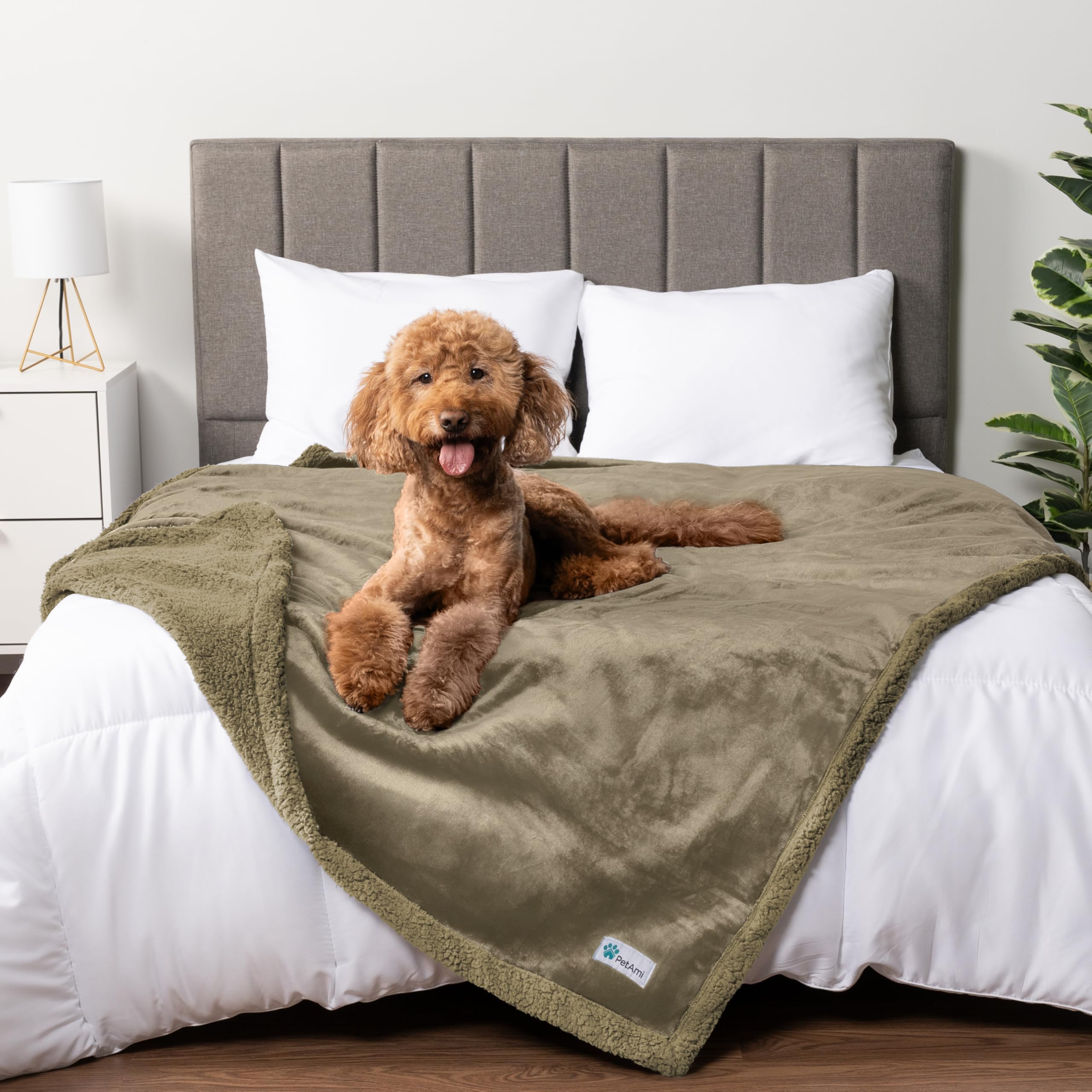 Petami Waterproof Dog Blanket For Bed, Xl Dog Pet Blanket Couch Cover Protection, Sherpa Fleece Leakproof Bed Blanket For Crate Kennel Sofa Furniture Protector, Reversible Soft Plush 80X60 Taupe Taupe